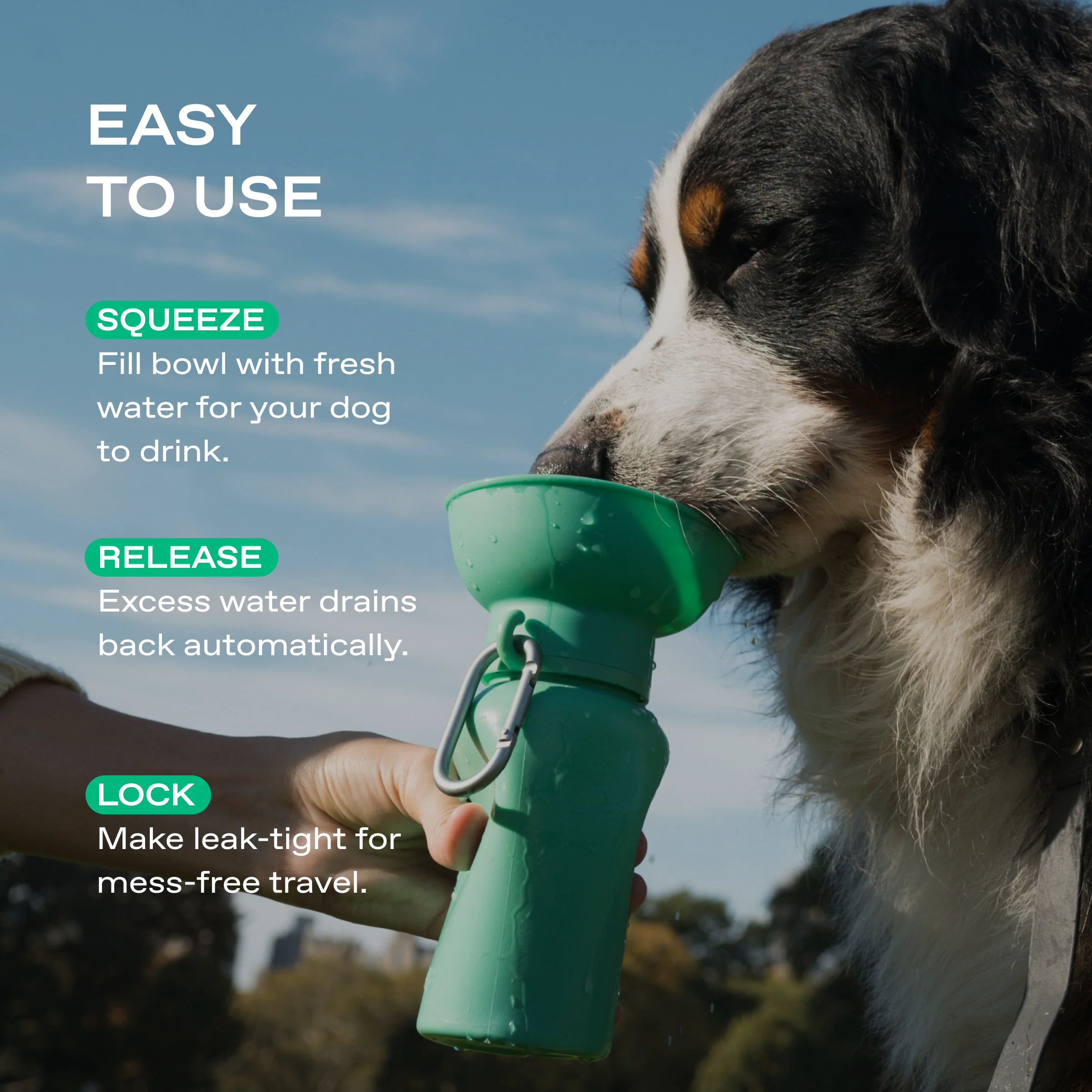 20oz Flip Dog Travel Water Bottle - Image 30