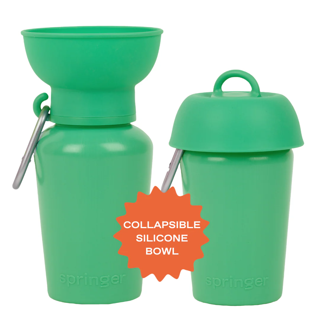 20oz Flip Dog Travel Water Bottle - Image 33