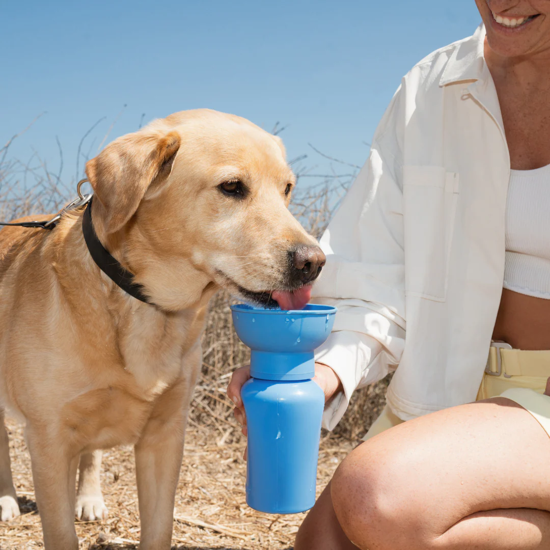 20oz Flip Dog Travel Water Bottle - Image 37