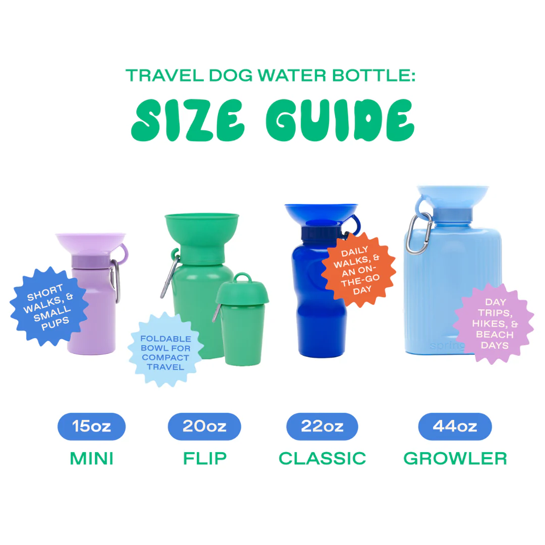 20oz Flip Dog Travel Water Bottle - Image 5