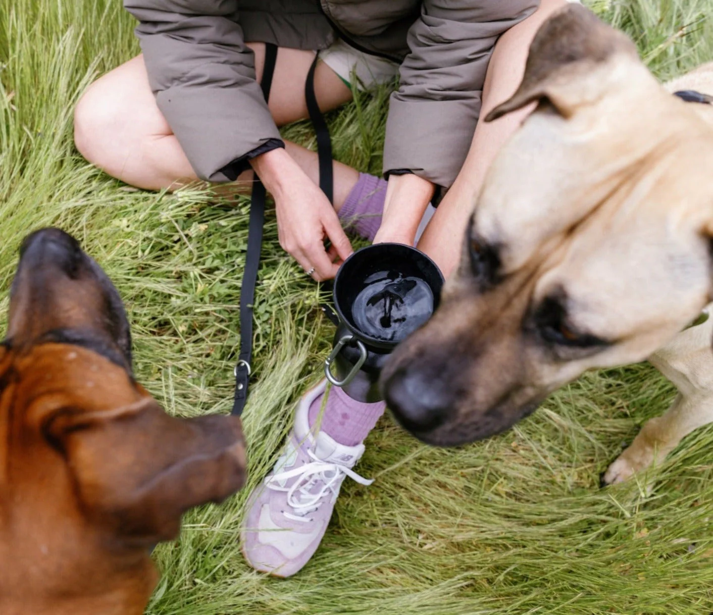 20oz Flip Dog Travel Water Bottle - Image 9