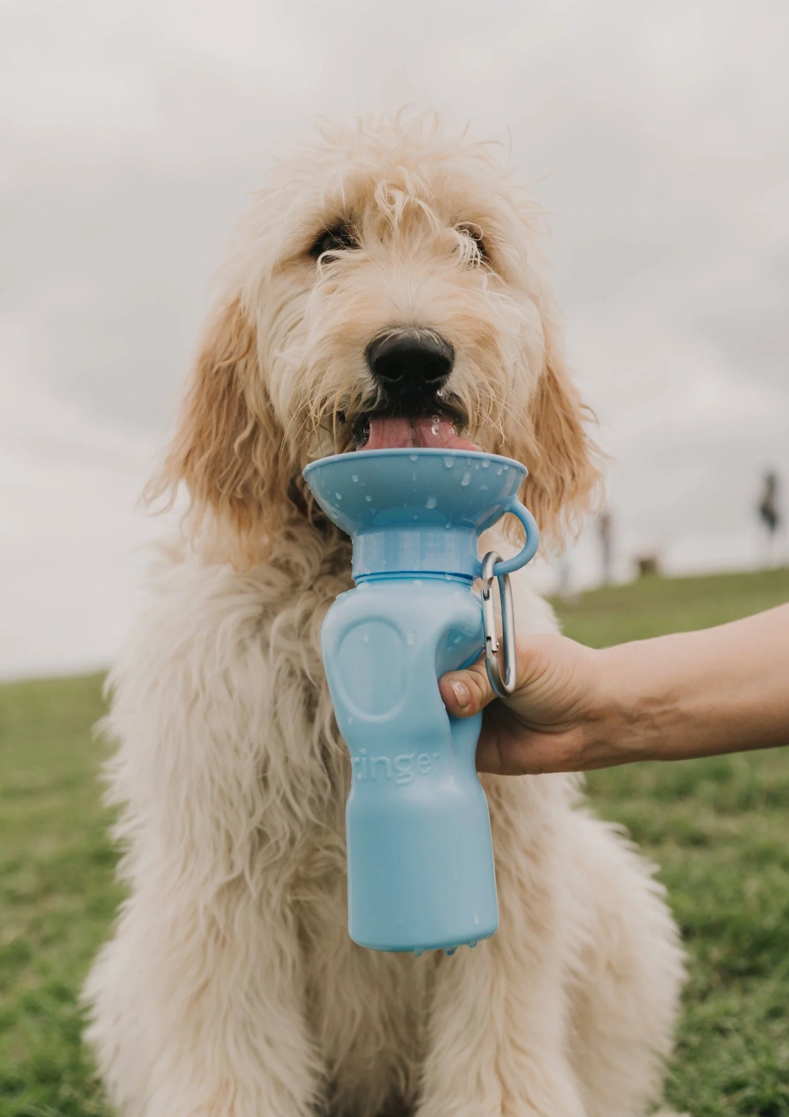 22oz Original Dog Travel Water Bottle - Image 10