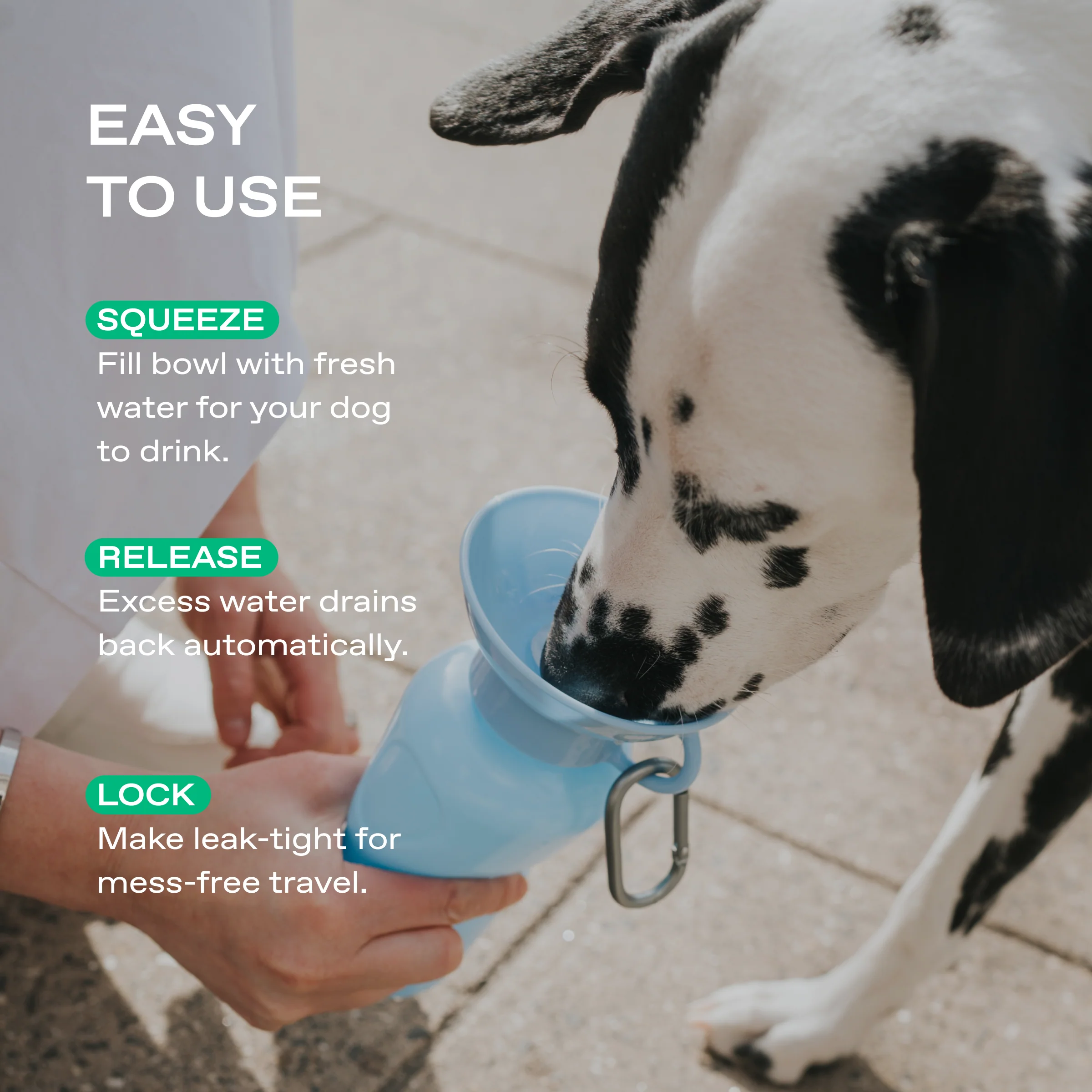 22oz Original Dog Travel Water Bottle - Image 9