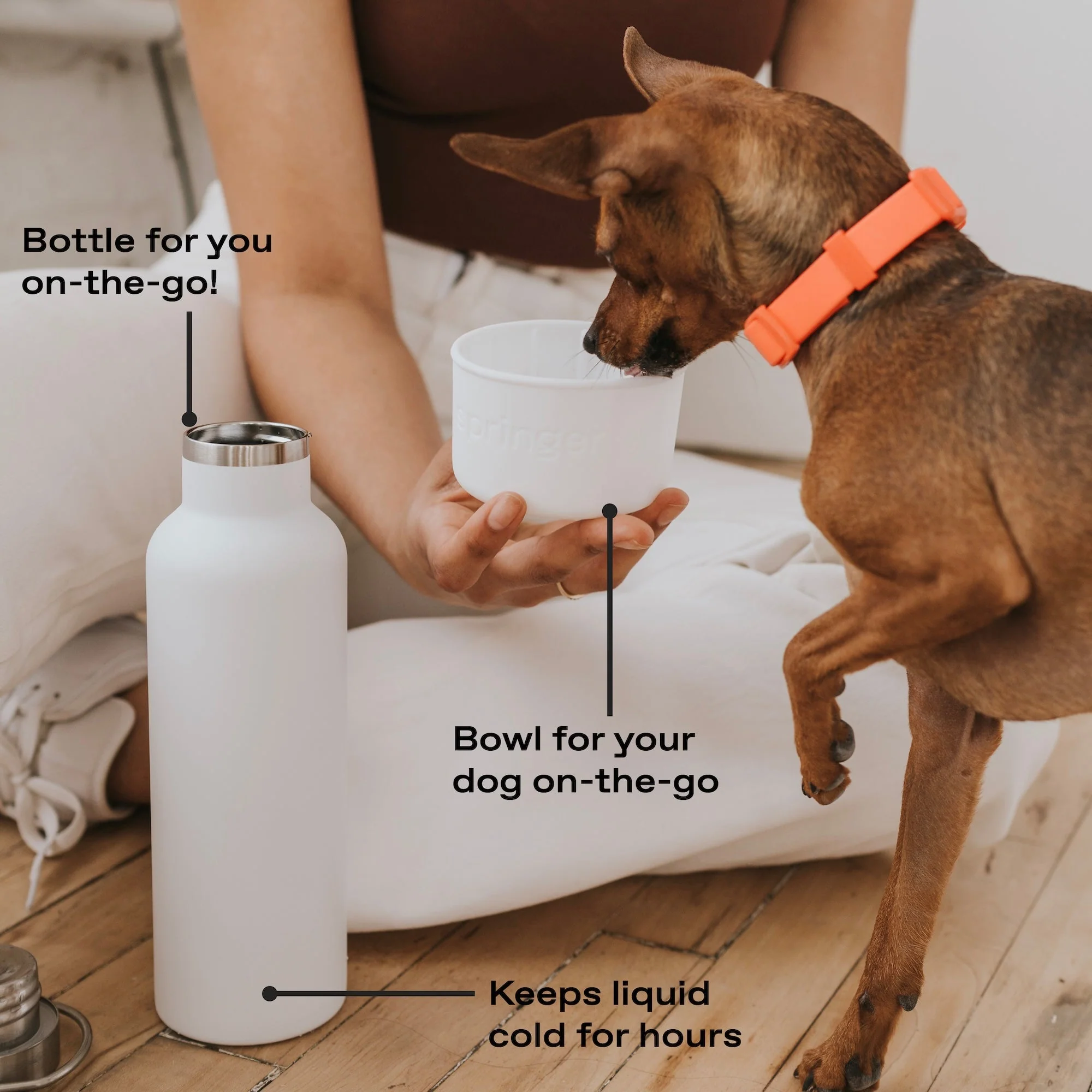 24oz Dog & Me Insulated Water Bottle - Image 6