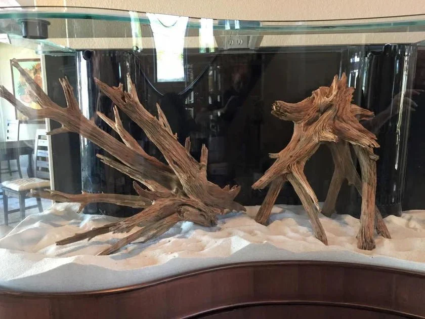 250g Wave Glass Reef-Ready Aquarium Set in Black - Image 2