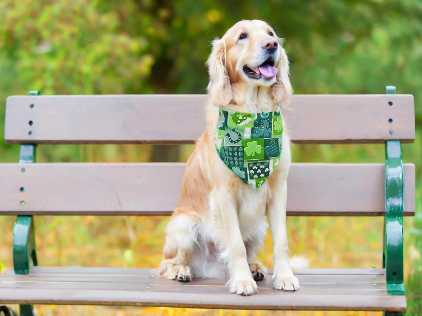 2PCS Christmas Dog Bandanas – Red and Green Plaid with Tassels - Image 35