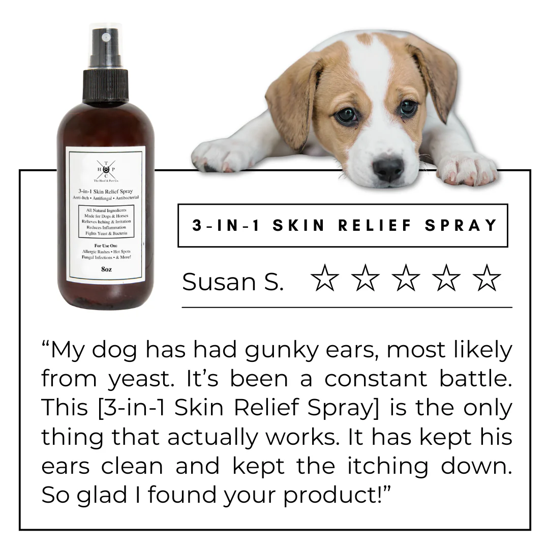 3-in-1 Skin Relief Spray for Dogs & Horses - Image 4