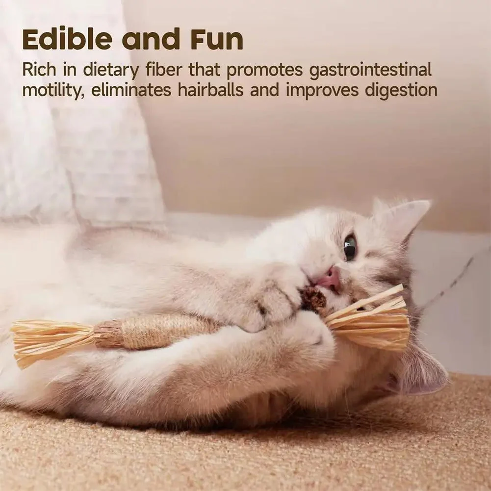 3 pack - natural cat dental sticks - Image 4