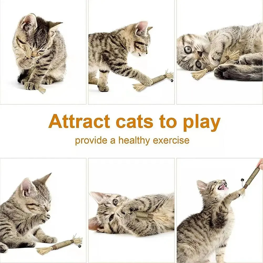 3 pack - natural cat dental sticks - Image 5