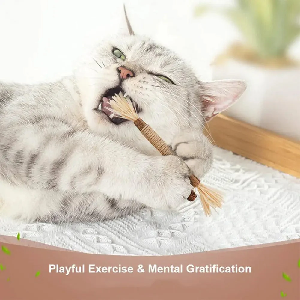 3 pack - natural cat dental sticks - Image 6