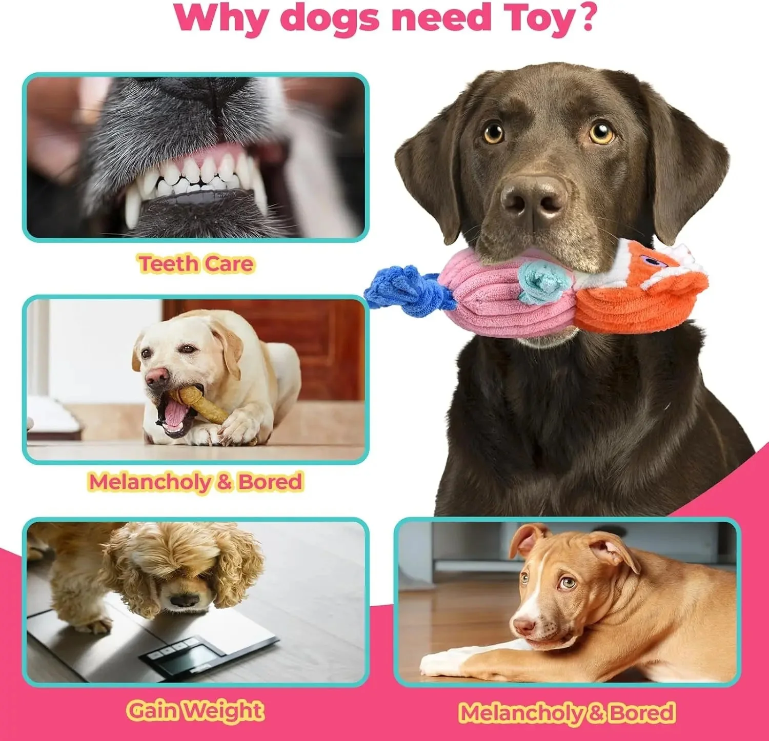 3-Pack Plus Chew Dog Squeaky Toys for Small Medium Large Dogs - Image 3