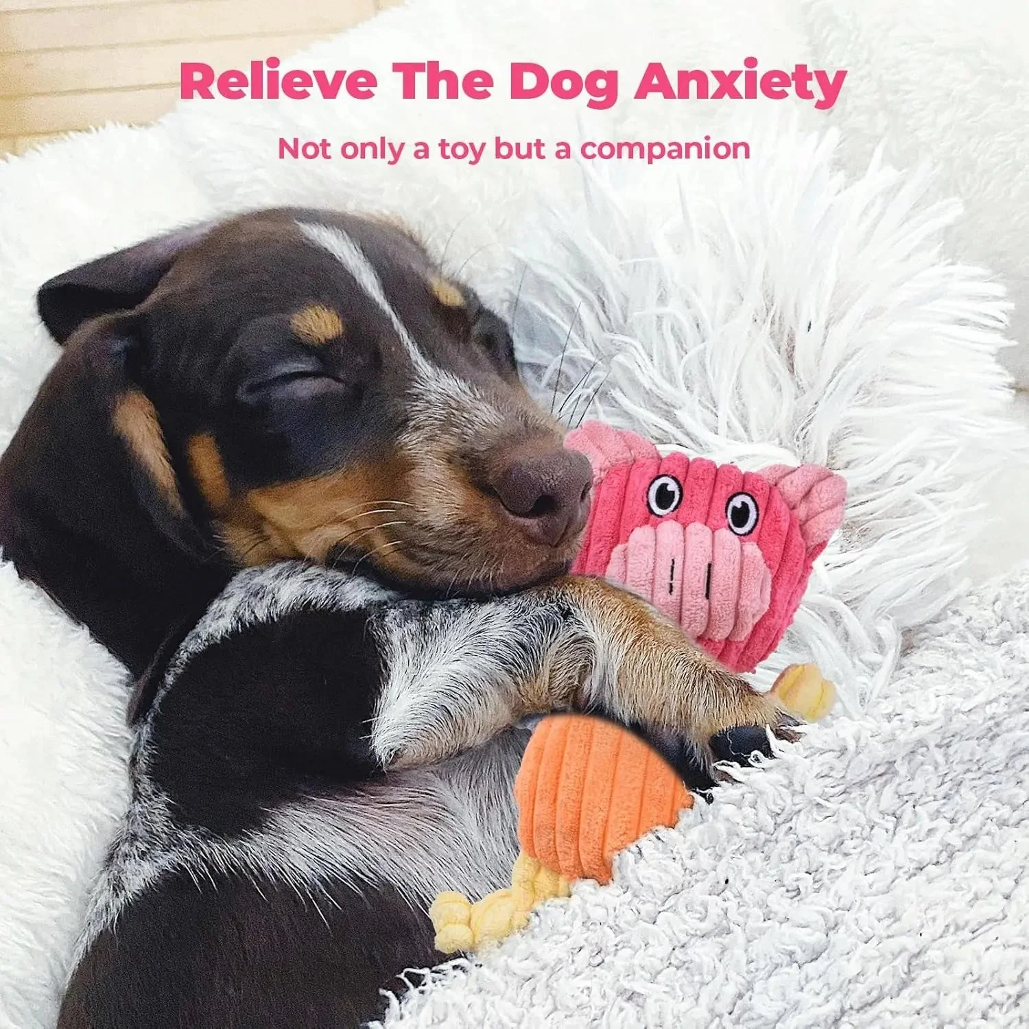 3-Pack Plus Chew Dog Squeaky Toys for Small Medium Large Dogs - Image 4