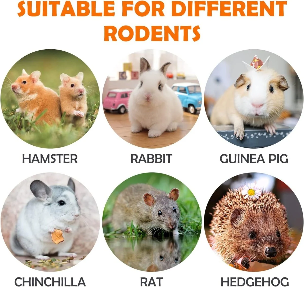 32Pcs Timothy Hay Sticks 320G Rabbit Toys Bunny, Guinea Pig Toys Natural Hamster Toys for Teeth Handmade Treats and Chews Chinchilla Rat Gerbil - Image 6