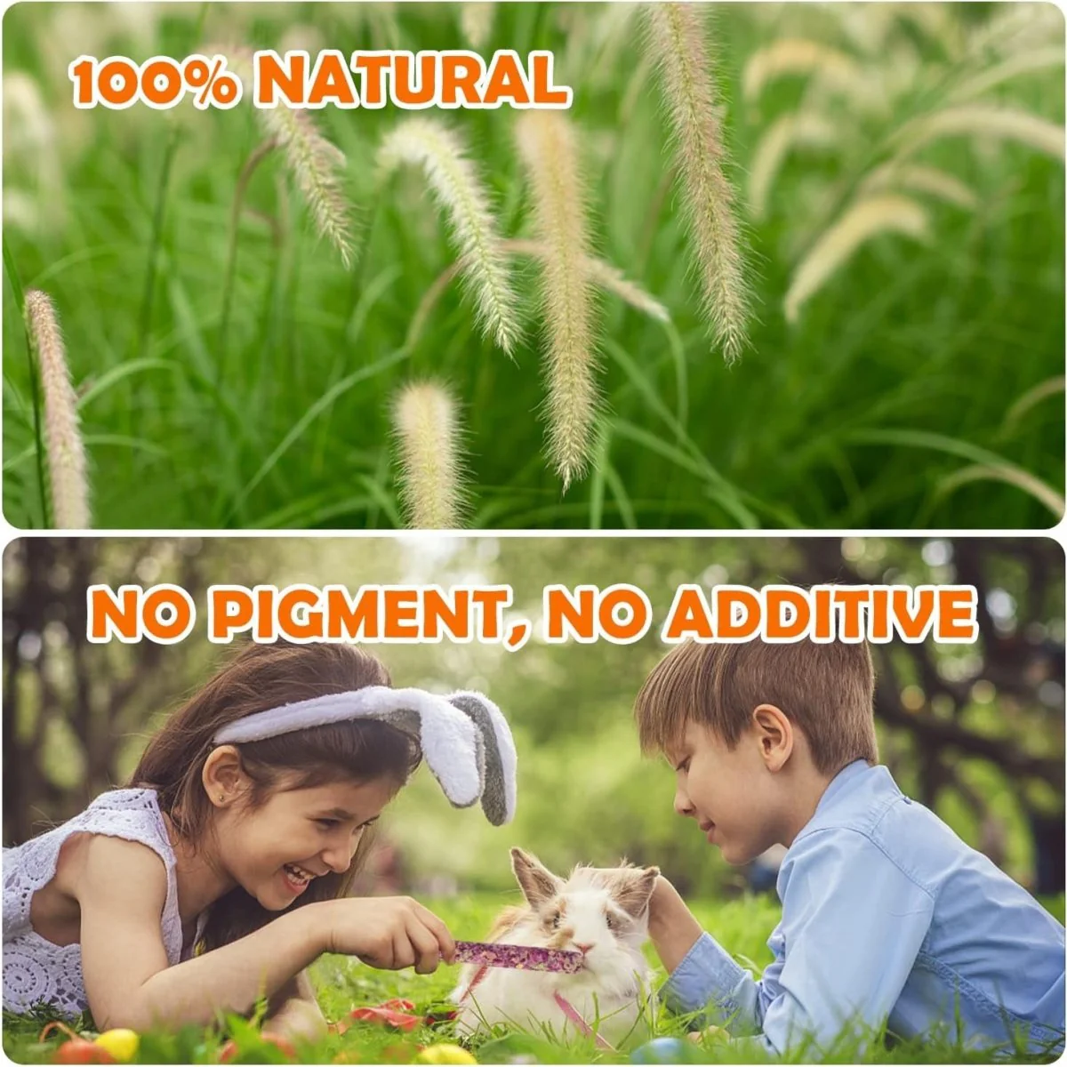 32Pcs Timothy Hay Sticks 320G Rabbit Toys Bunny, Guinea Pig Toys Natural Hamster Toys for Teeth Handmade Treats and Chews Chinchilla Rat Gerbil - Image 7