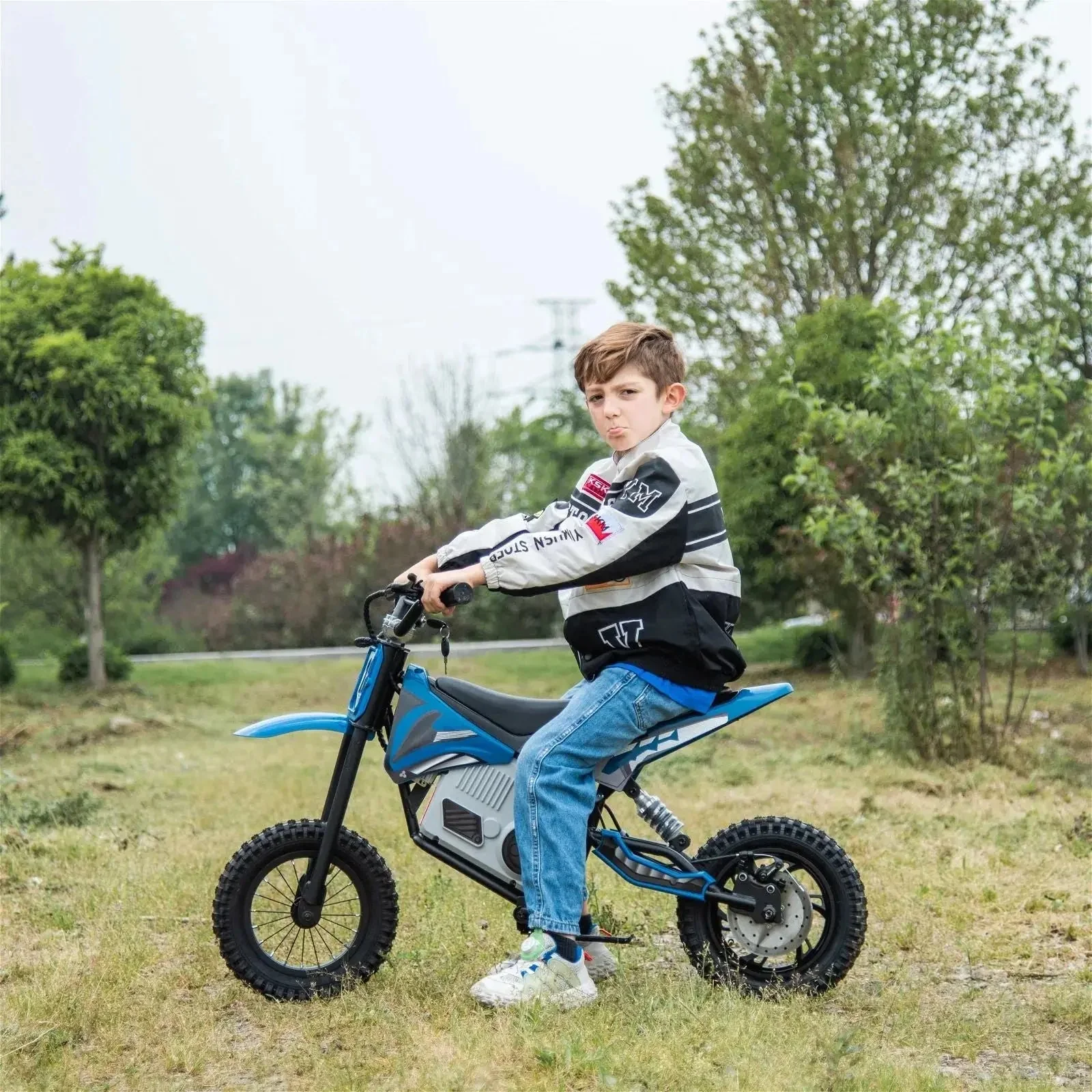 36V Freddo Electric Dirt Bike with Brushless Motor - Image 30