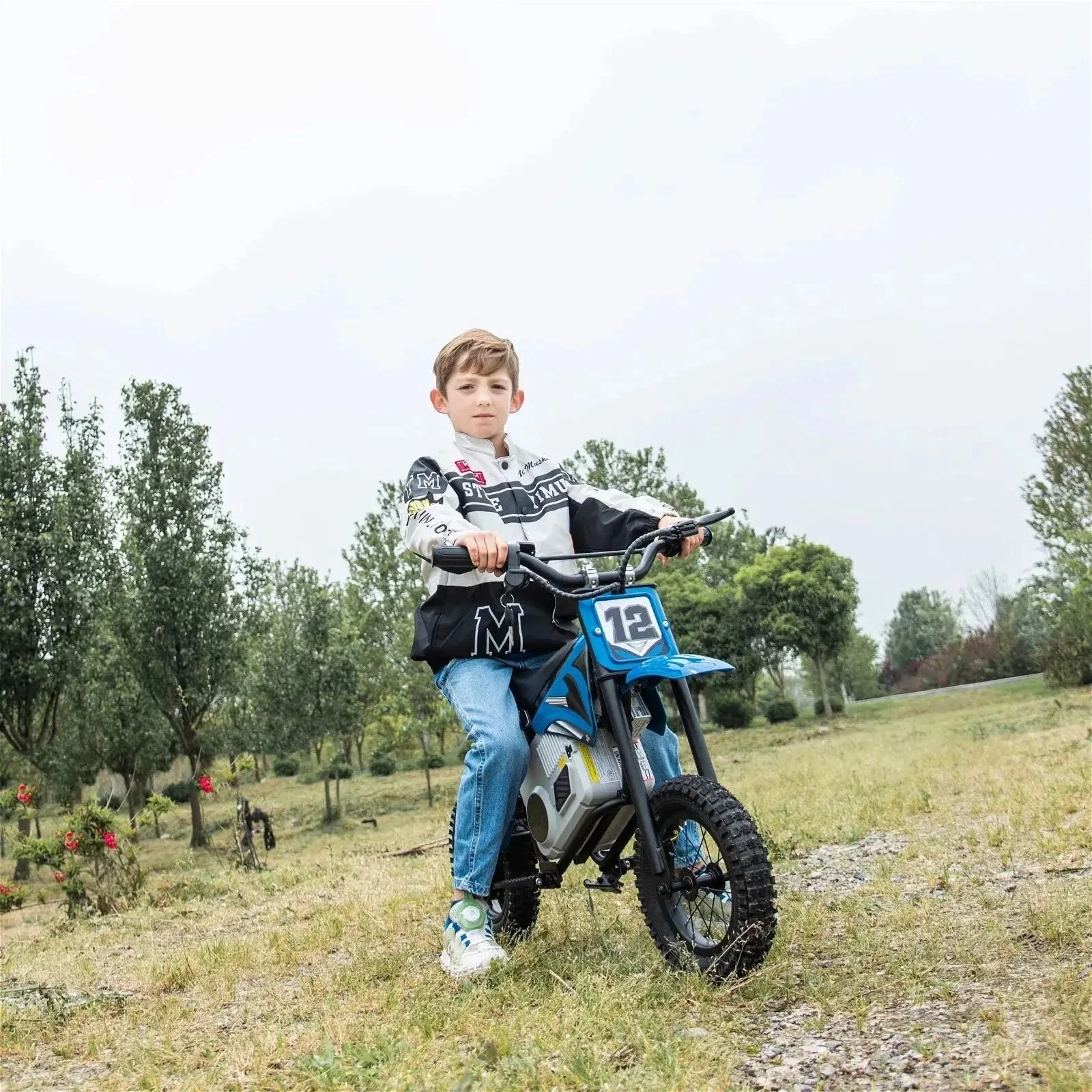36V Freddo Electric Dirt Bike with Brushless Motor - Image 34