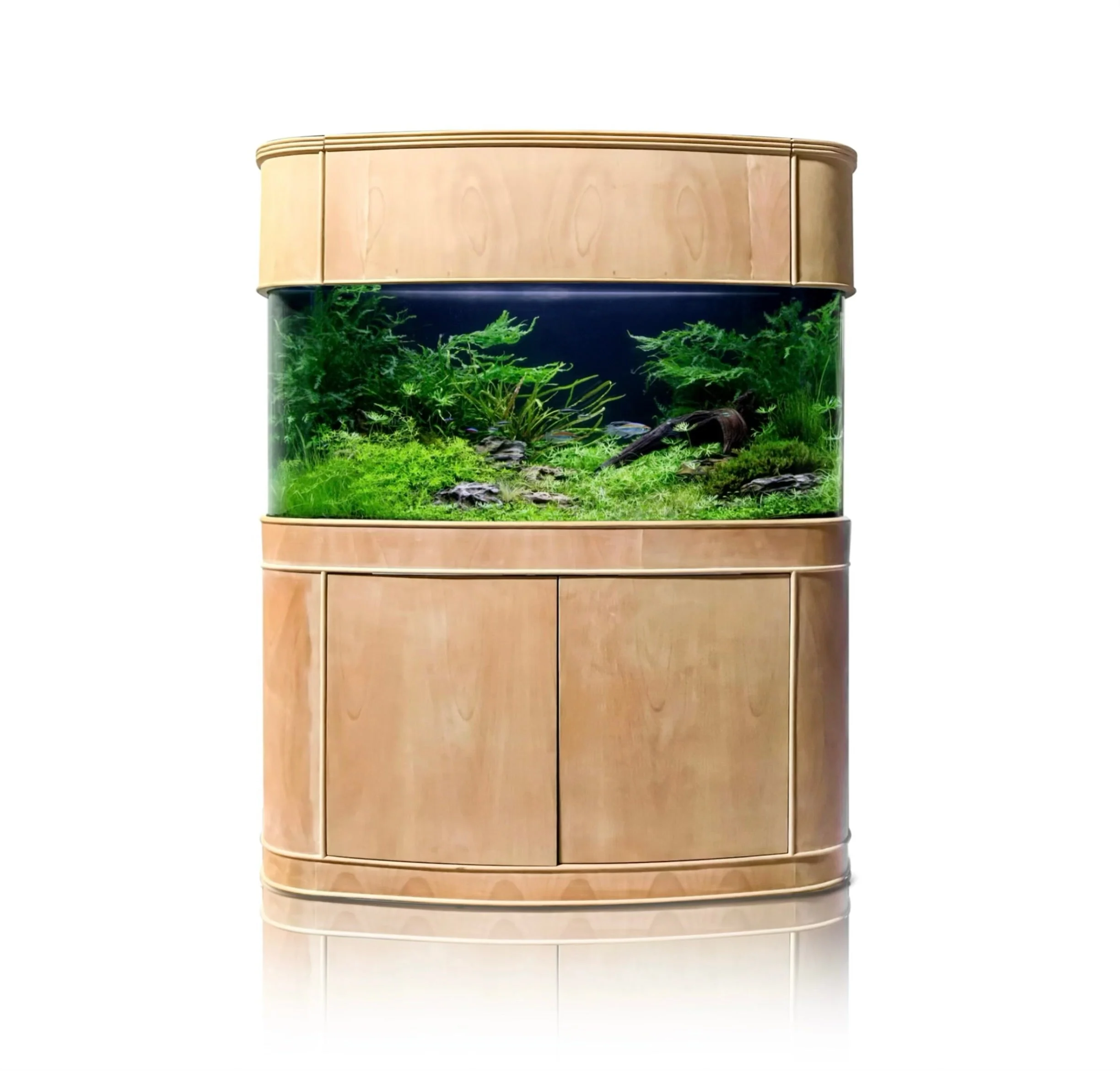 380 Gallon Seamless Glass Bowfront Reef-Ready Aquarium in Rose Cherry Real Wood Furniture - Image 4