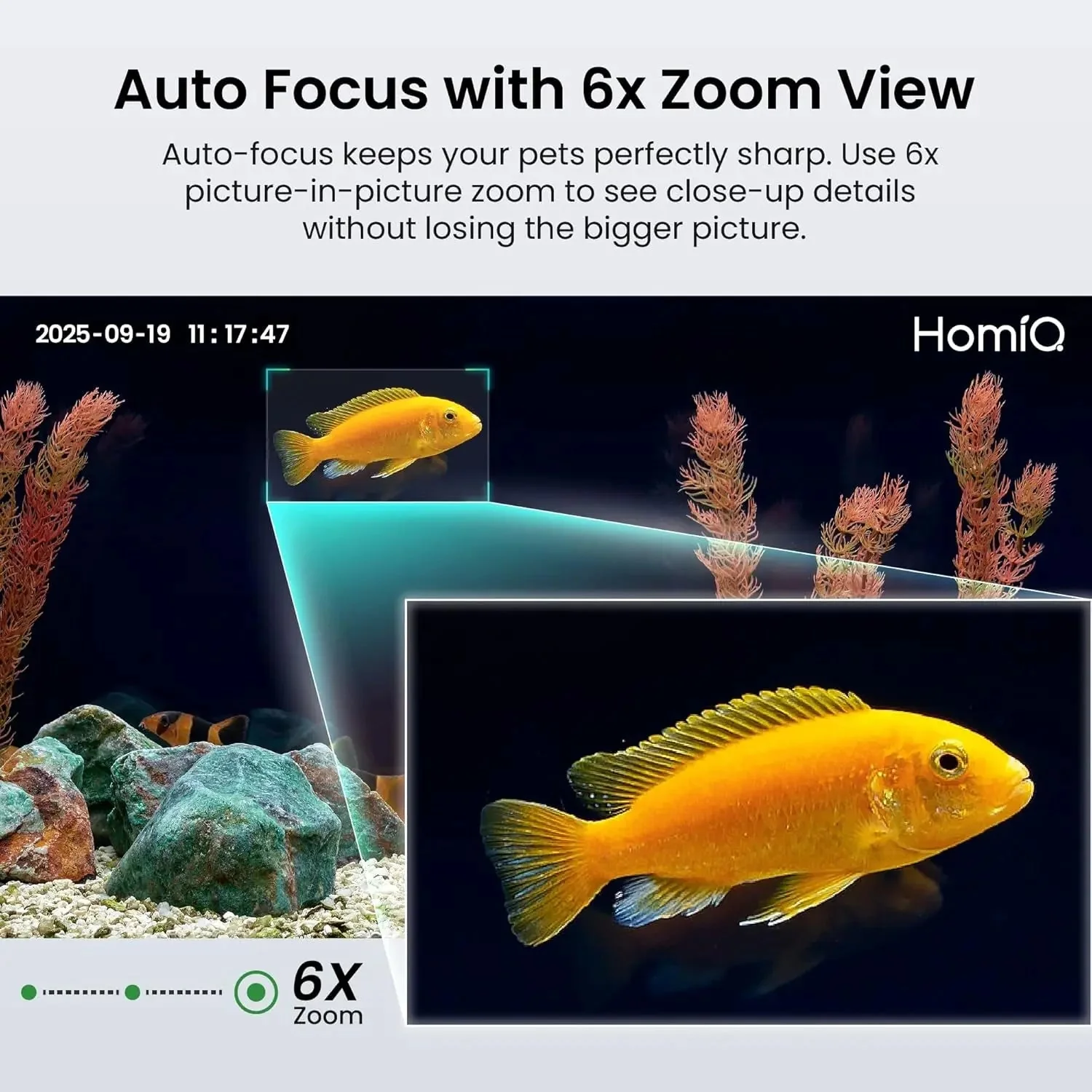 3MP 2K Aquarium & Terrarium Pet Camera w/ Night Vision & Smart Alerts - Image 3