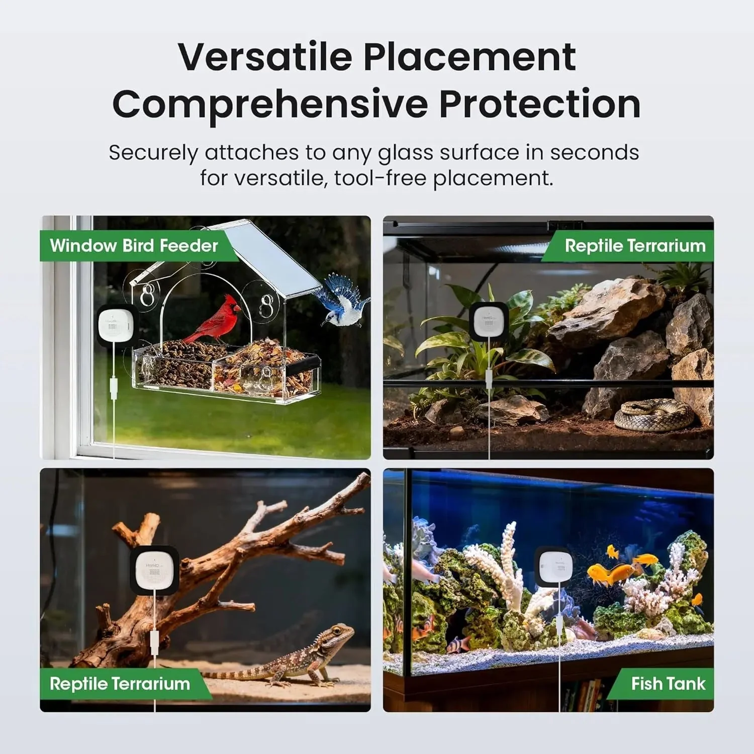 3MP 2K Aquarium & Terrarium Pet Camera w/ Night Vision & Smart Alerts - Image 6