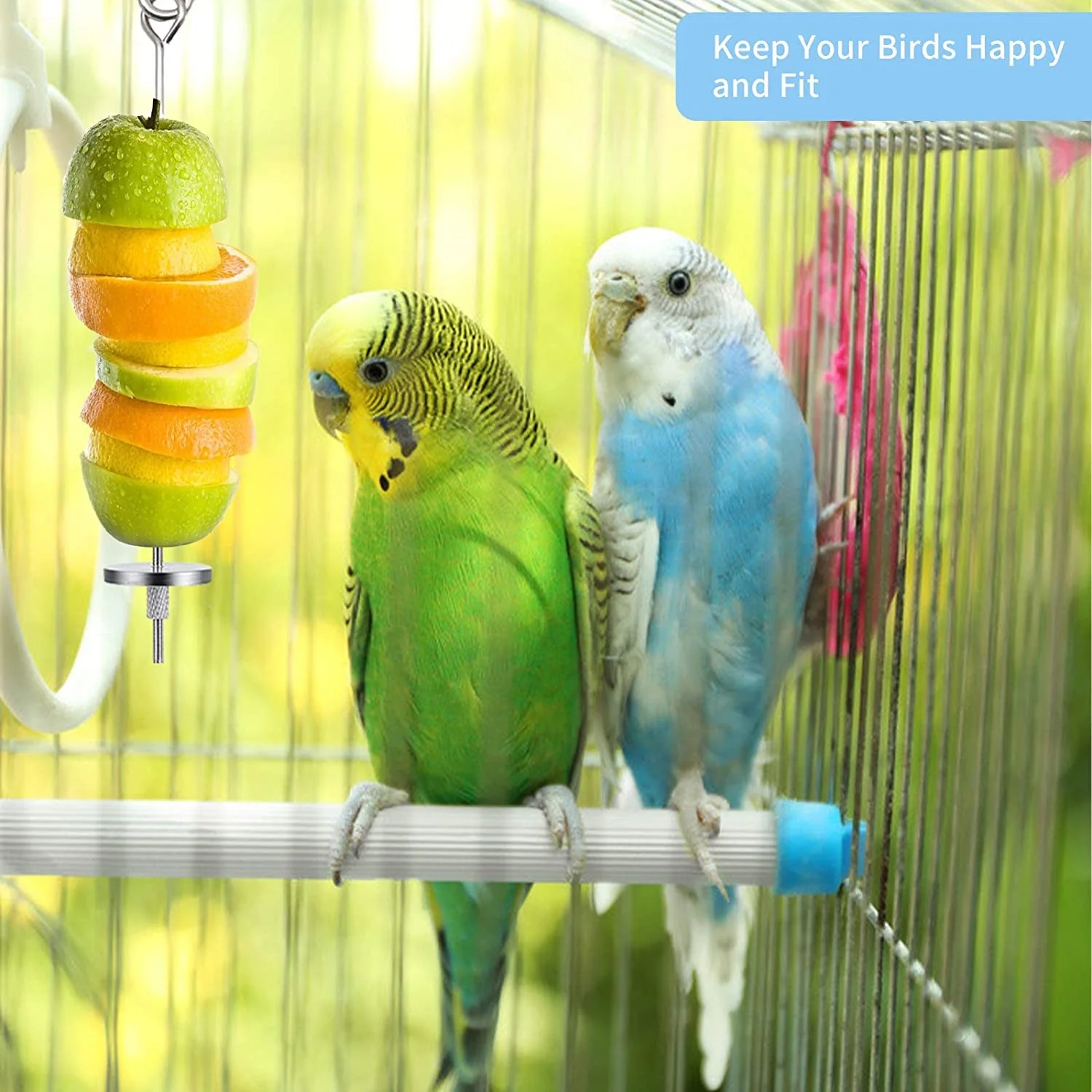 3Pcs Bird Food Holder - Image 7