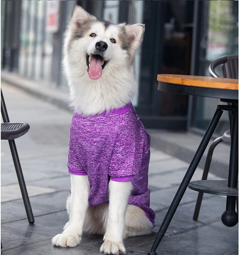 3XL-9XL Winter Warm Pet Sweater - Image 5