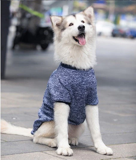 3XL-9XL Winter Warm Pet Sweater - Image 8
