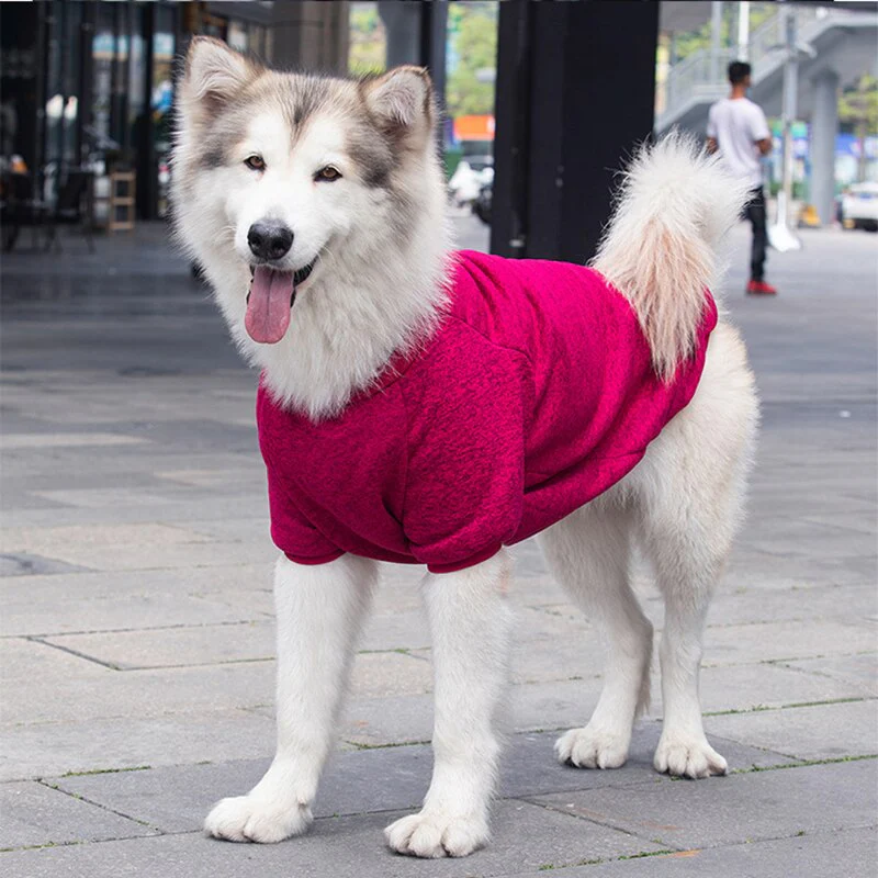 3XL-9XL Winter Warm Pet Sweater - Image 9