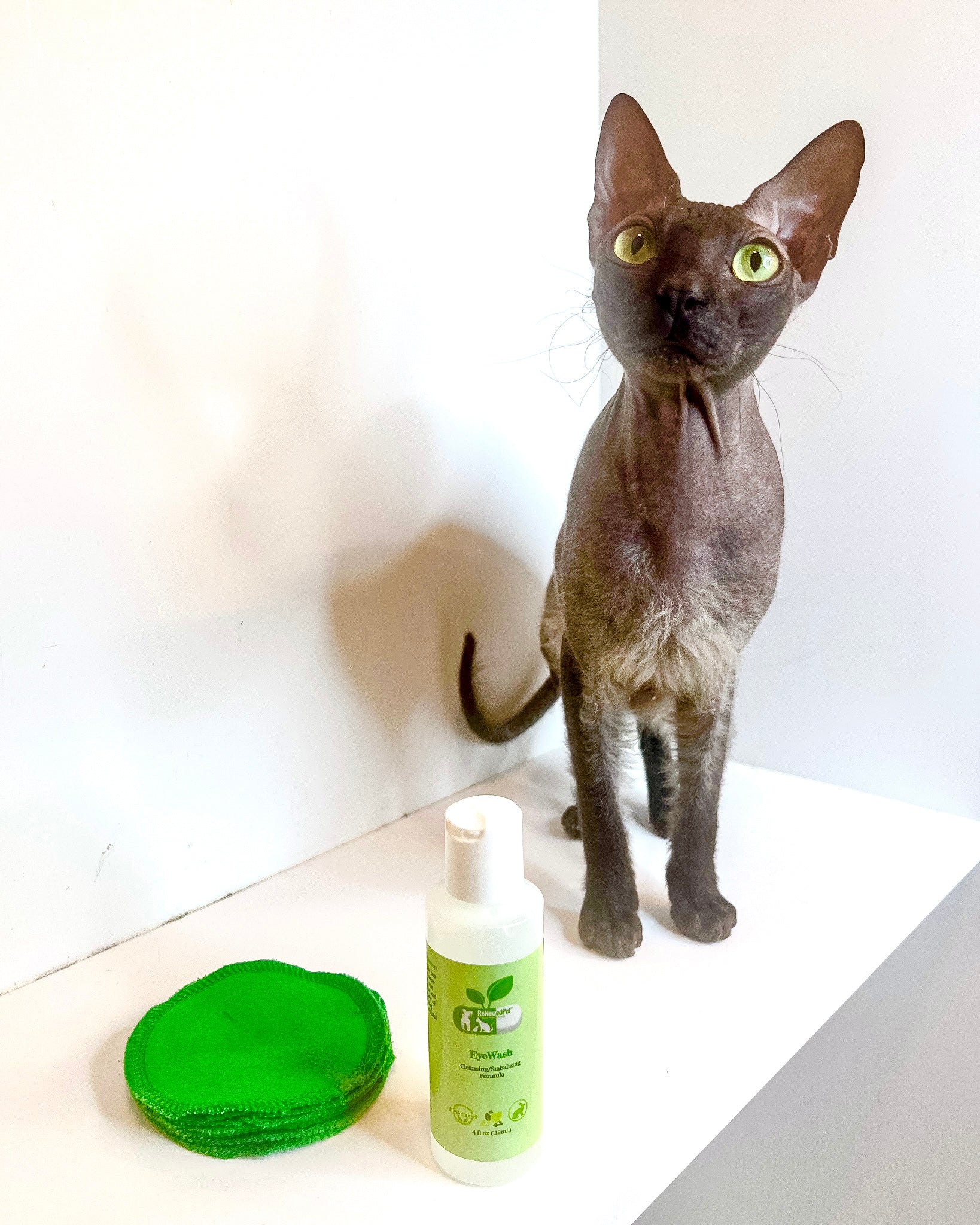 4-ALL PETS EYEWASH - Image 10
