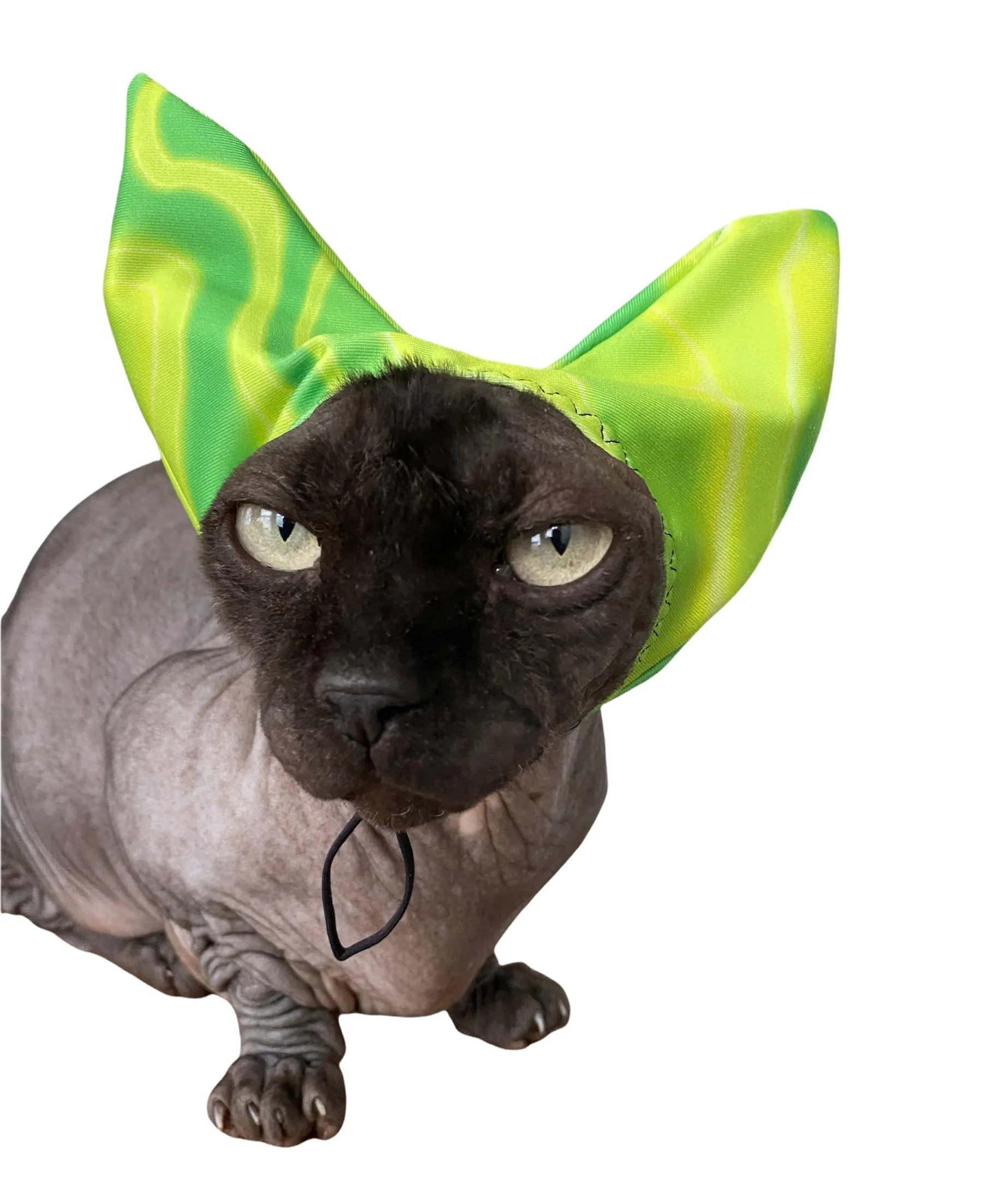 4-ALL PETS SHOWER / EAR / SUN CAP! - Image 6
