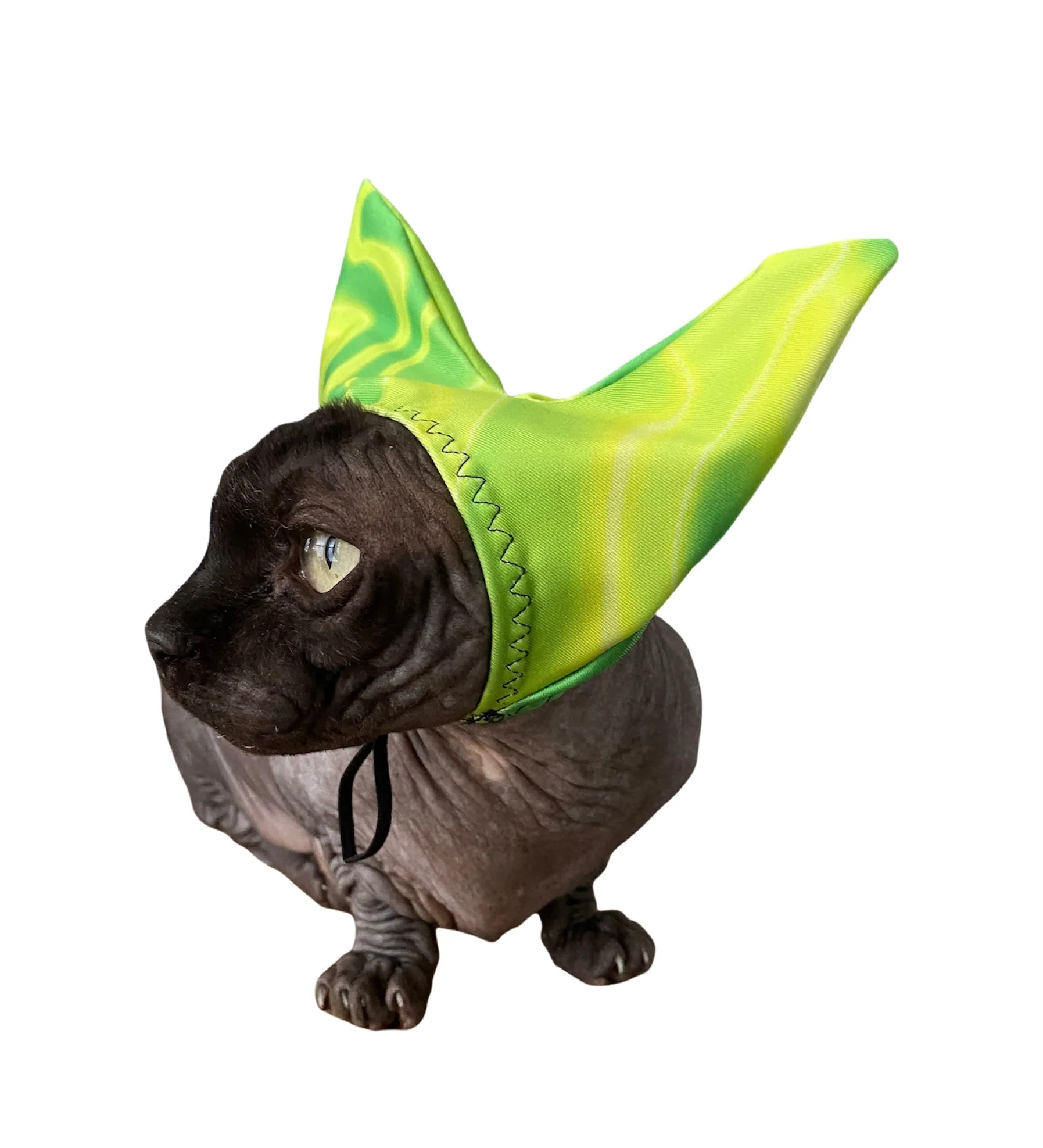 4-ALL PETS SHOWER / EAR / SUN CAP! - Image 7