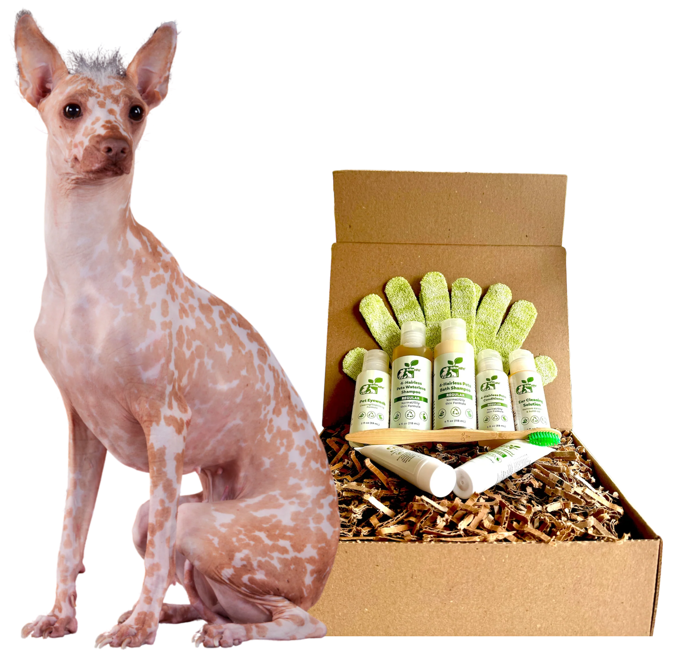 4-HAIRLESS PETS *DOG REGULAR KIT - Image 2