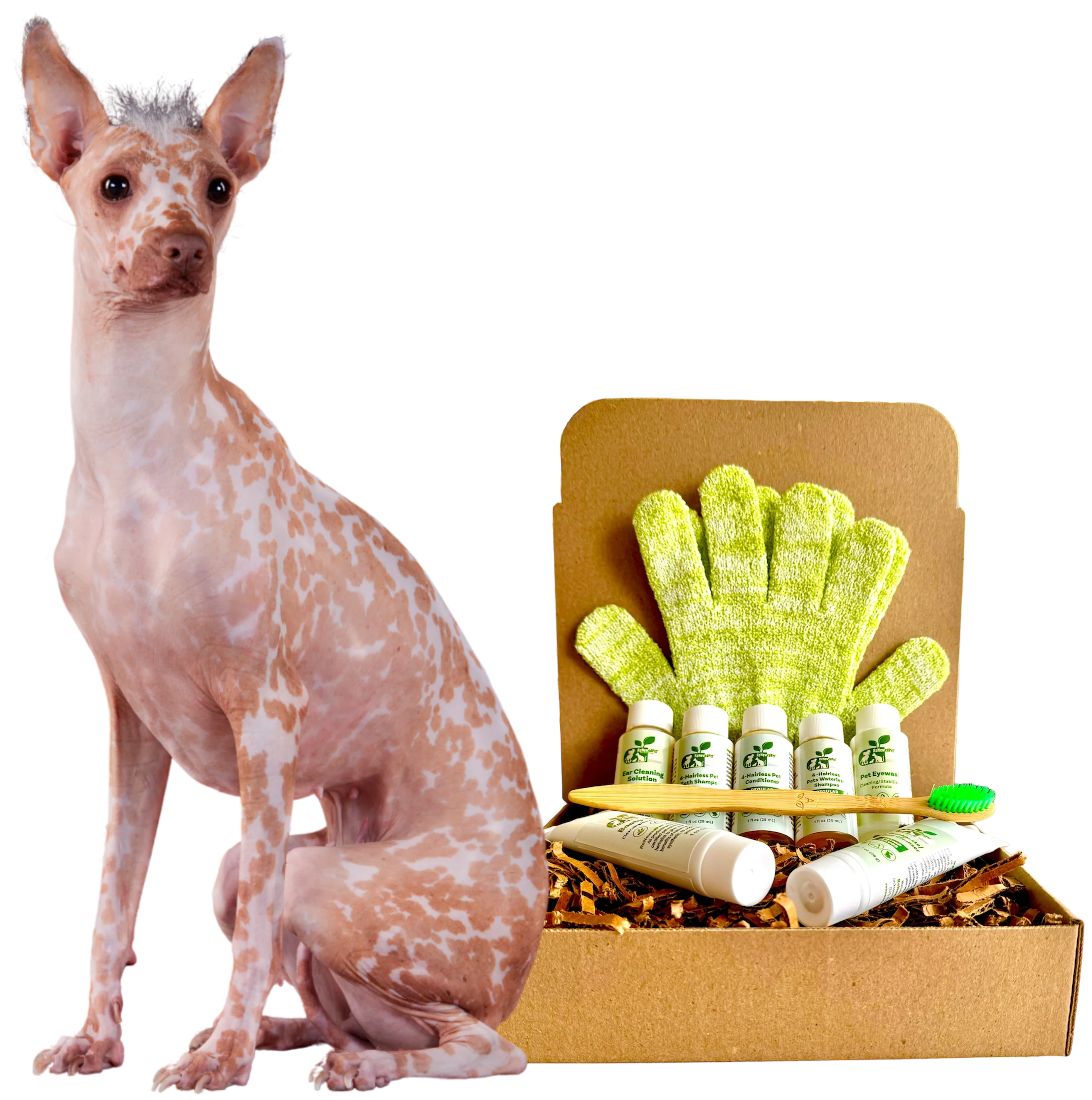 4-HAIRLESS PETS *DOG REGULAR KIT - Image 3