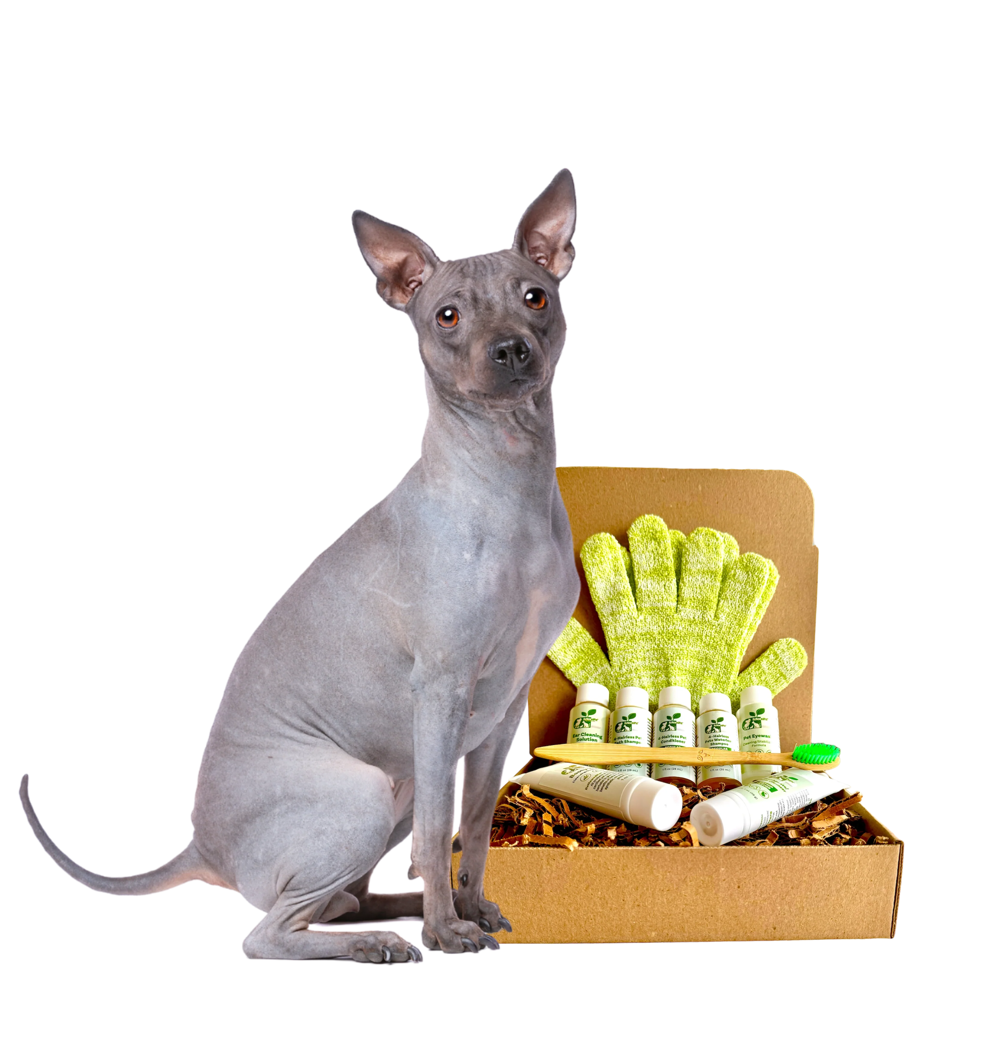 4-HAIRLESS PETS *DOG RESTORATIVE KIT - Image 2
