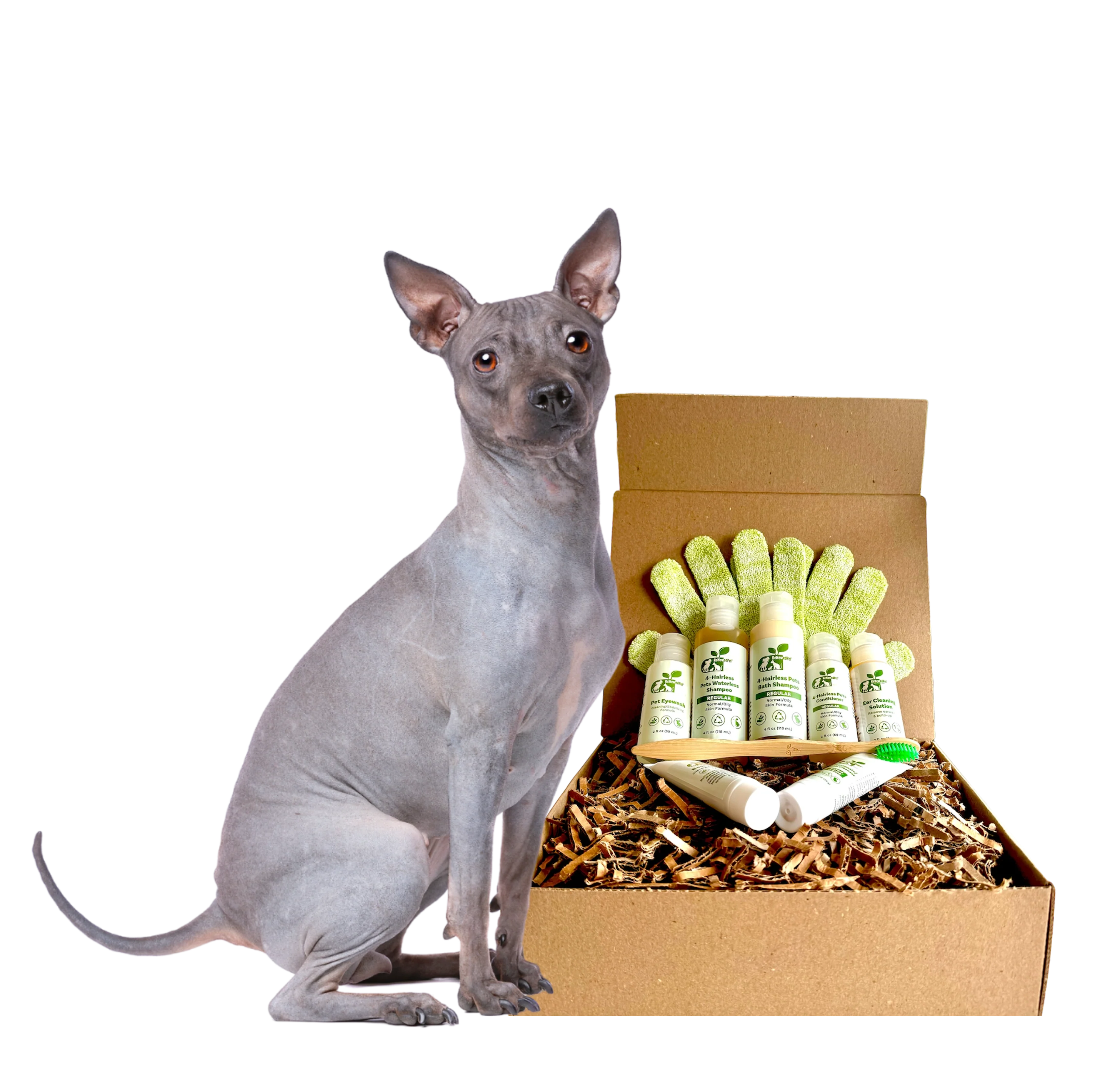 4-HAIRLESS PETS *DOG RESTORATIVE KIT - Image 3