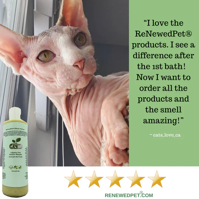 4-HAIRLESS PETS REGULAR CONDITIONER - Image 3