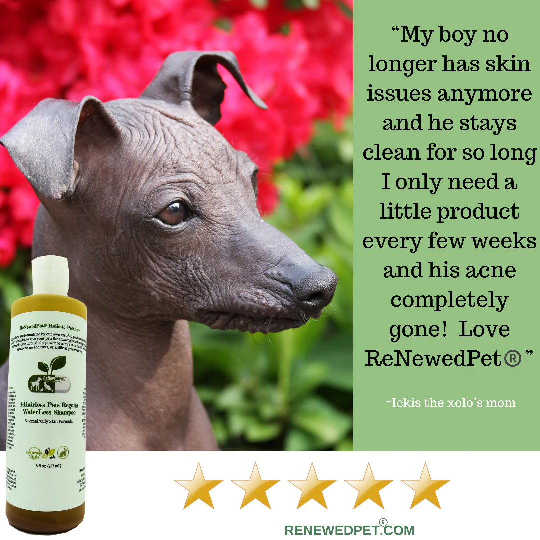 4-HAIRLESS PETS REGULAR CONDITIONER - Image 4