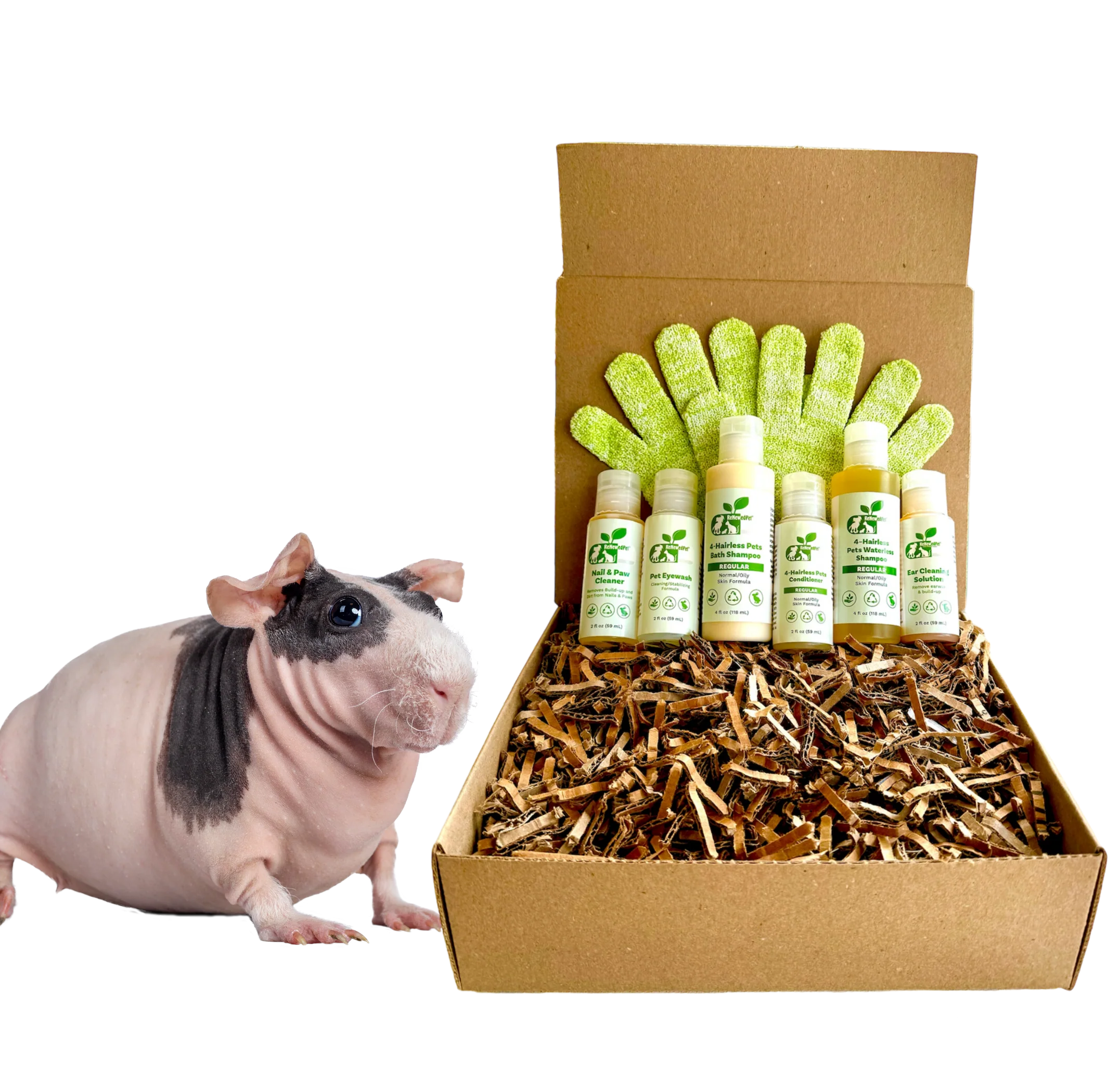 4-HAIRLESS PETS *SKINNYPIG REGULAR KIT - Image 2