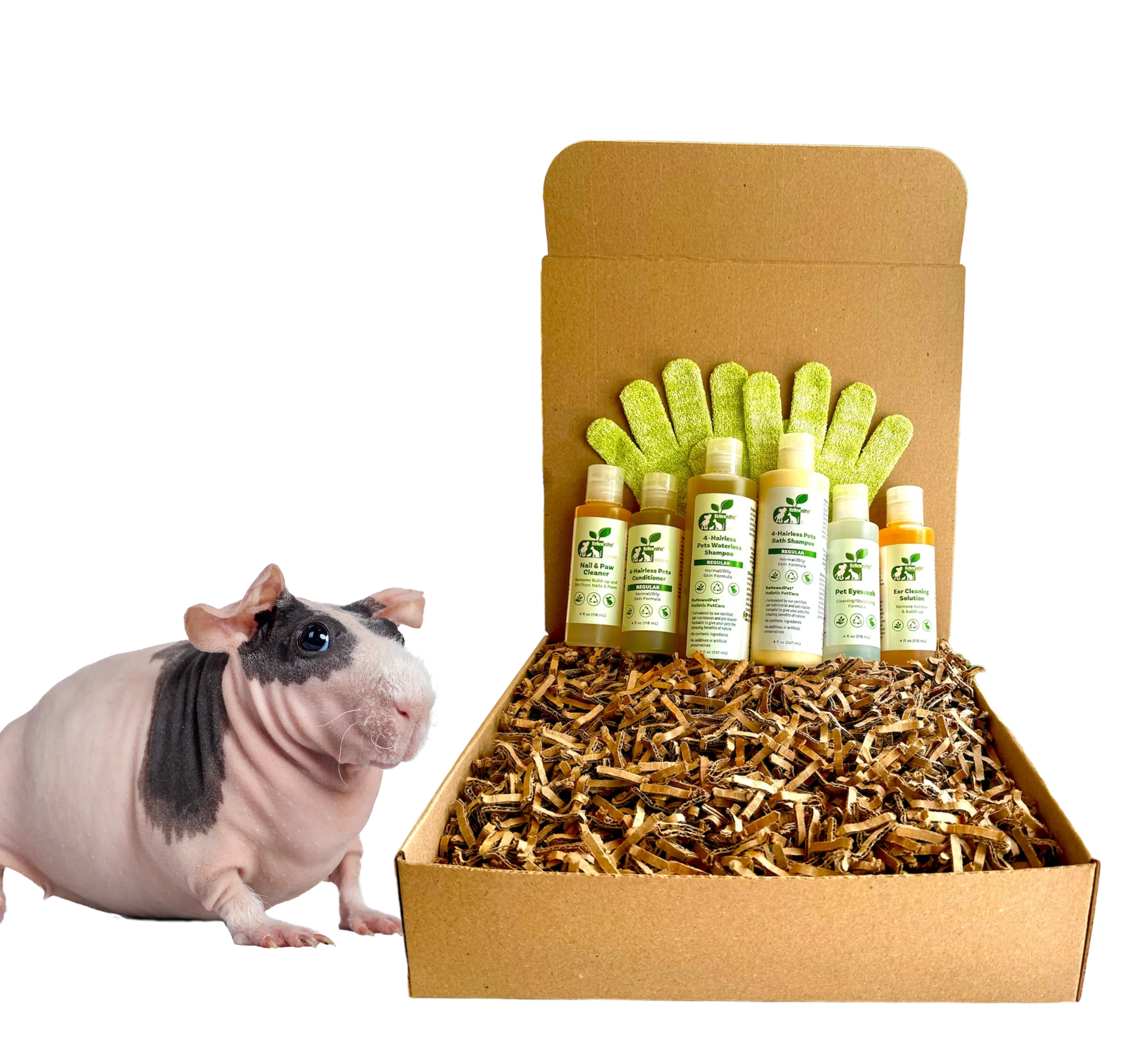4-HAIRLESS PETS *SKINNYPIG REGULAR KIT - Image 3