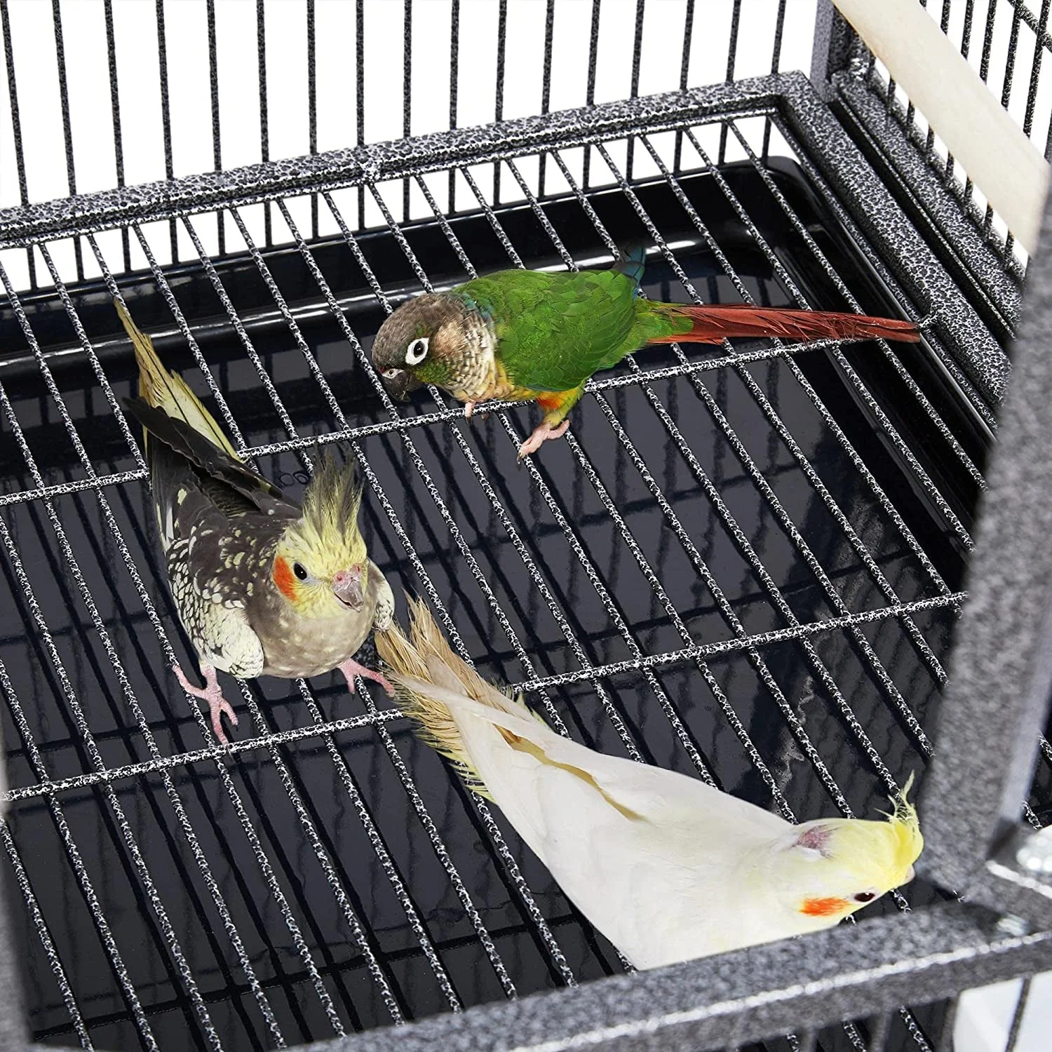 41.5" Stackable Divided Breeder for Bird - Image 8