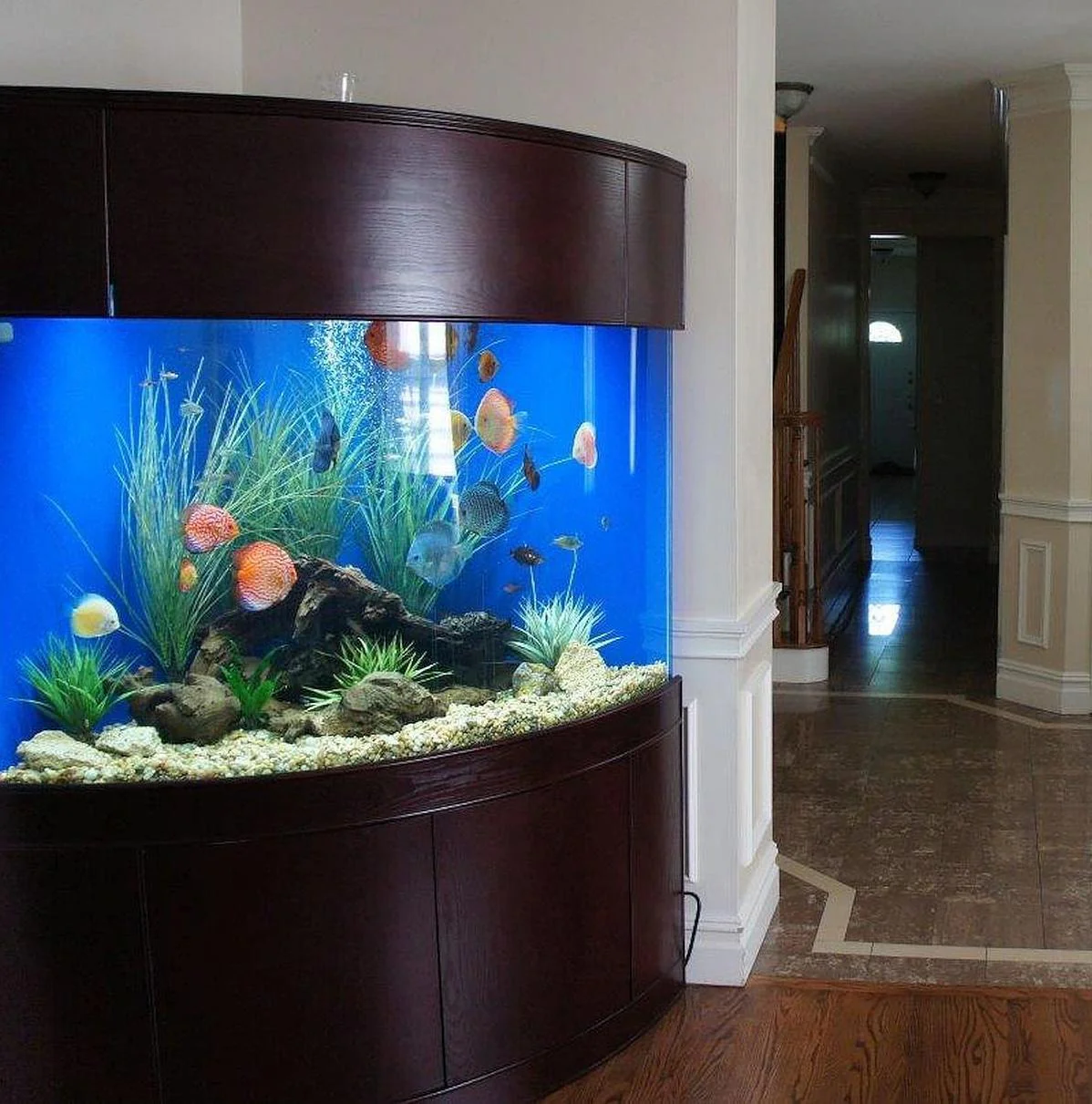 440 Gallon Glass Corner Reef-Ready Aquarium in Rose Cherry Real Wood Furniture - Image 2