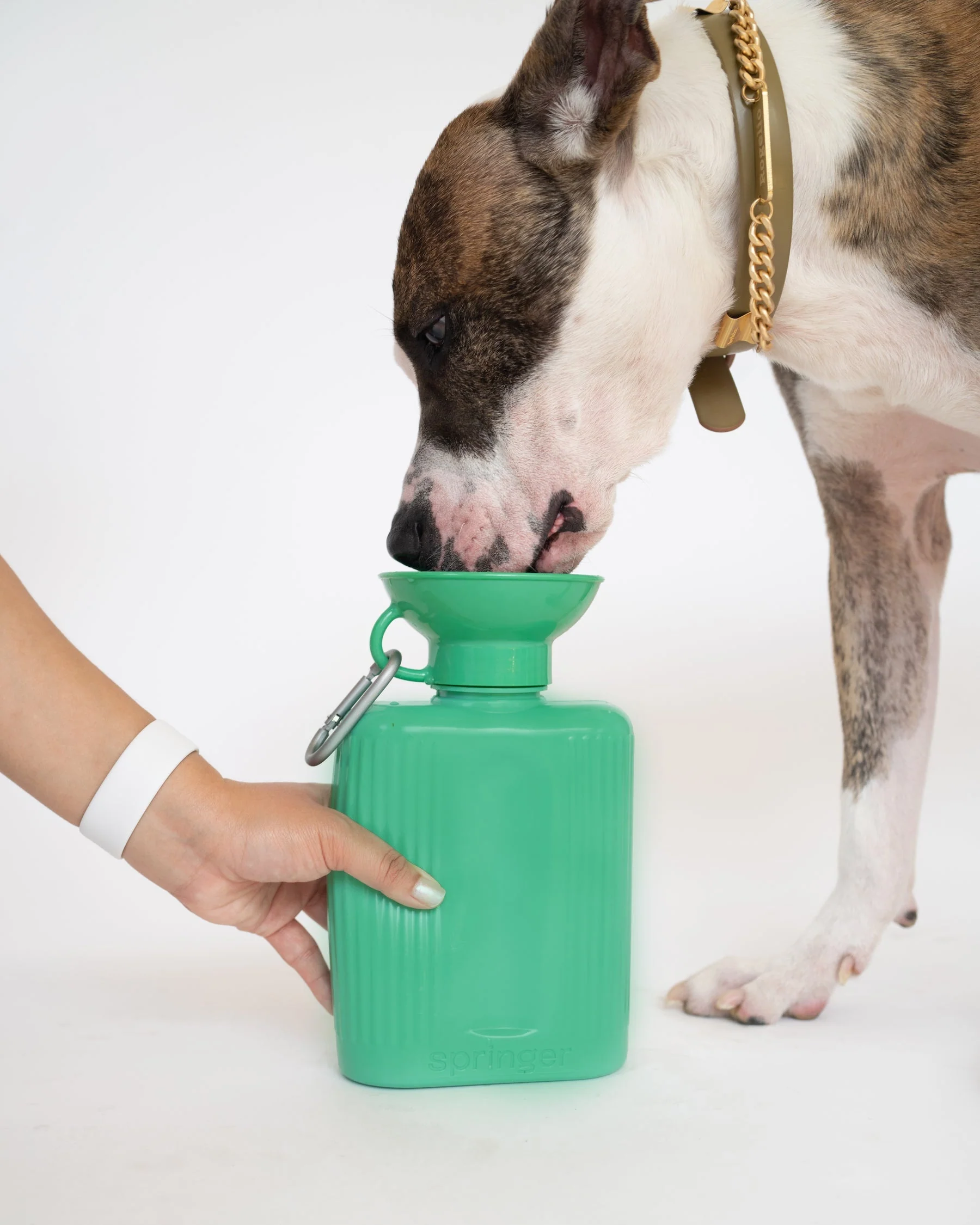 44oz Original Dog Travel Water Bottle - Image 4