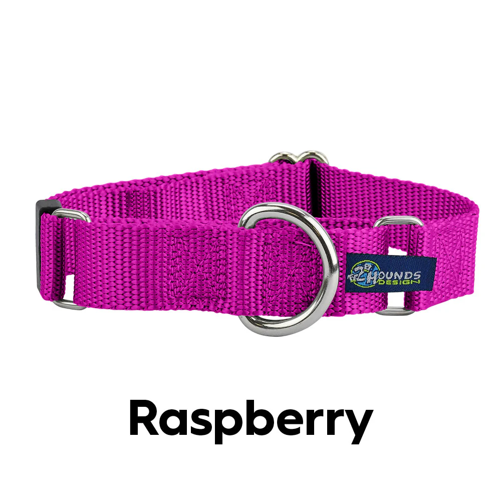 5/8″ and 1″ Raspberry Nylon Dog Collar - Image 2