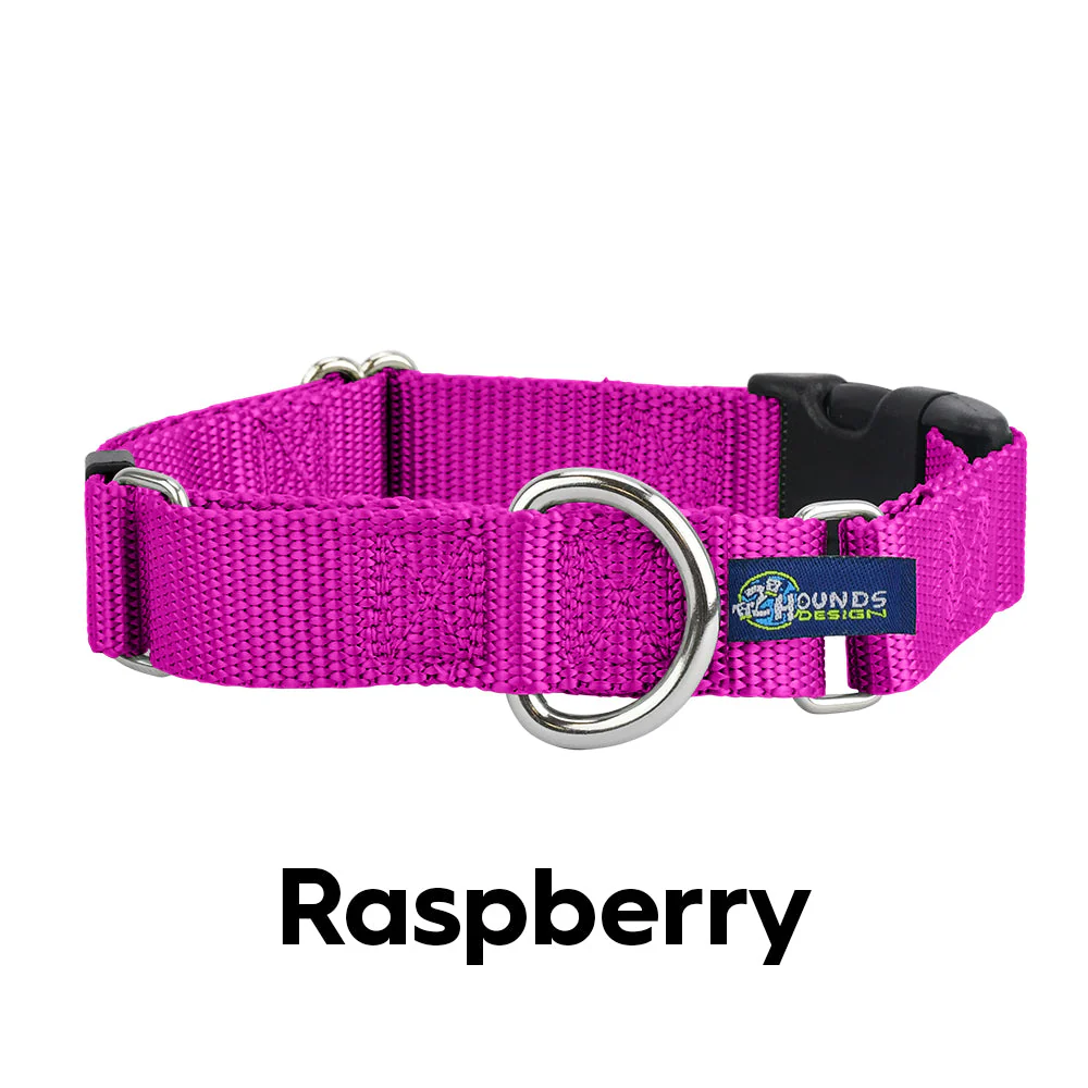5/8″ and 1″ Raspberry Nylon Dog Collar - Image 3