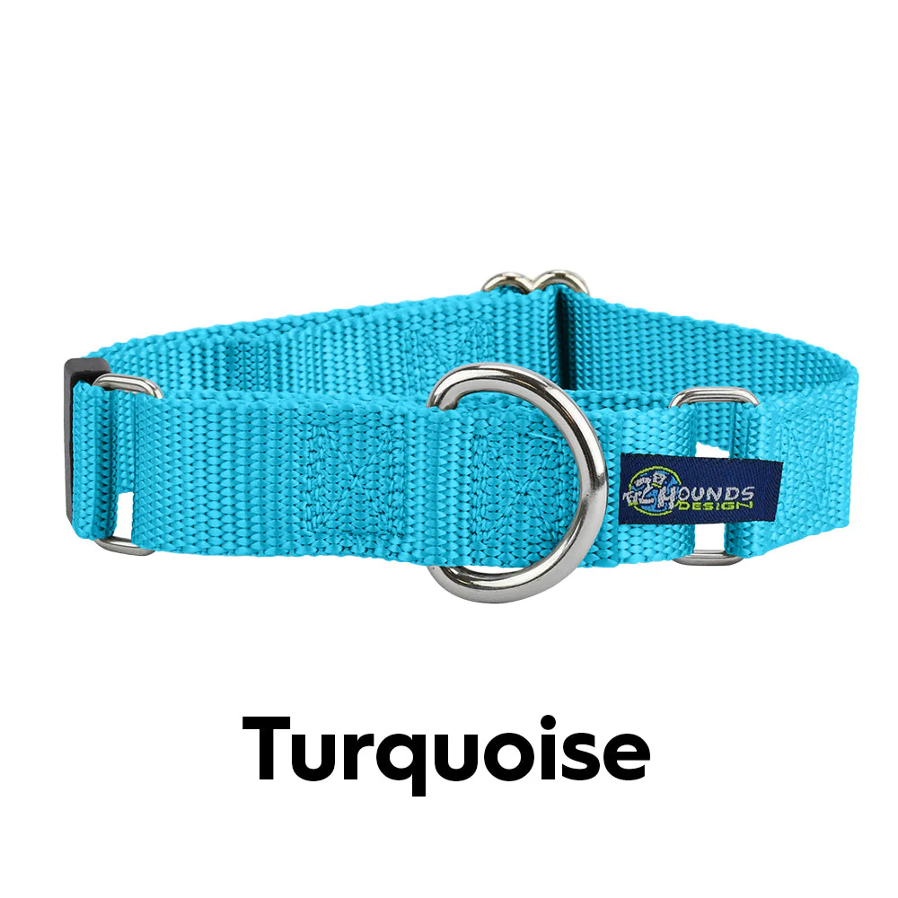 5/8″ and 1″ Turquoise Nylon Dog Collar - Image 2