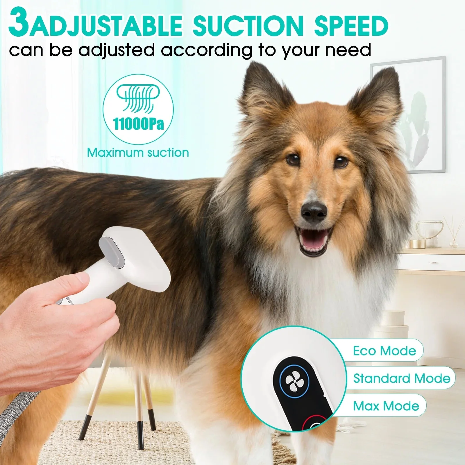 5 in 1 Pet Grooming Kit & Vacuum - Image 2