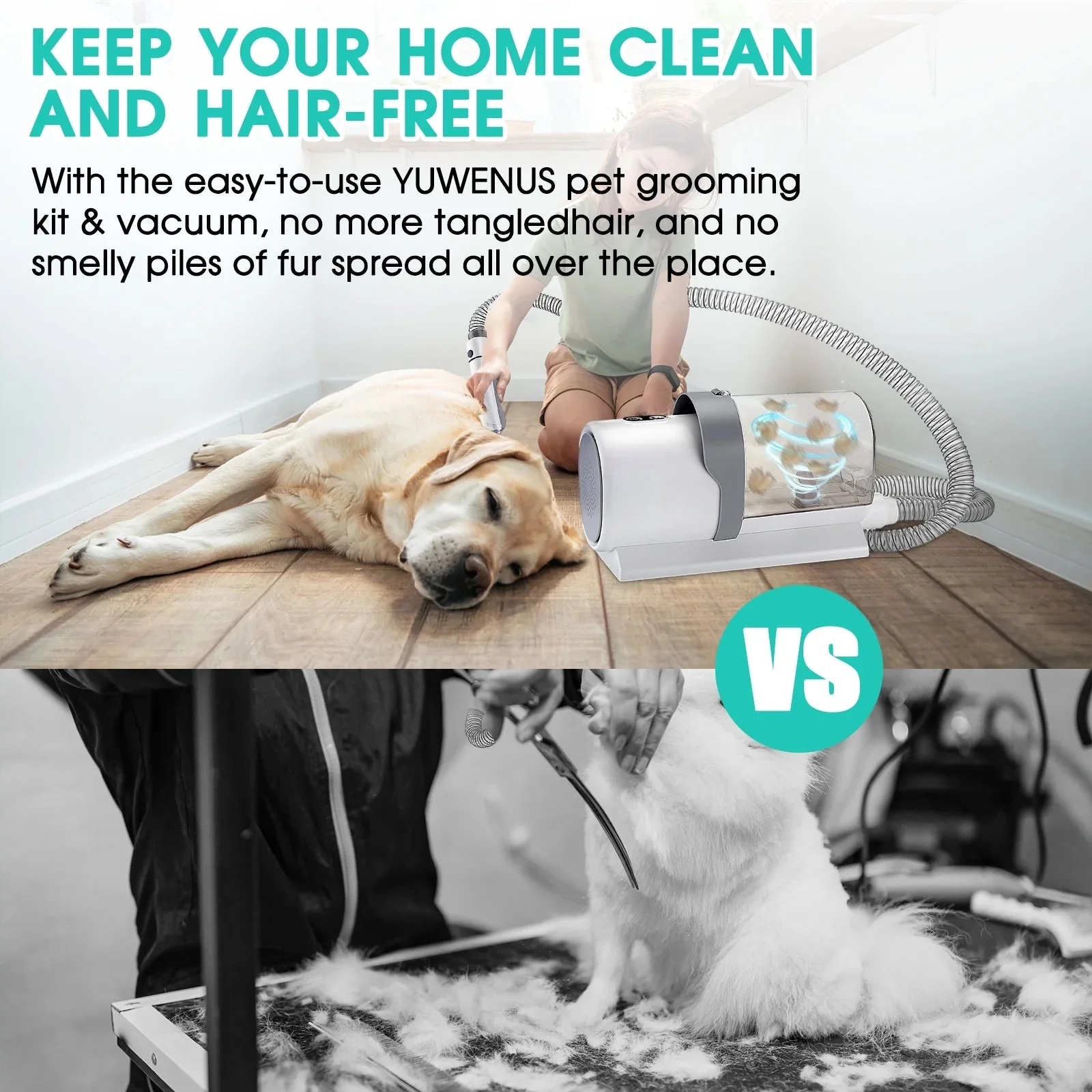 5 in 1 Pet Grooming Kit & Vacuum - Image 4