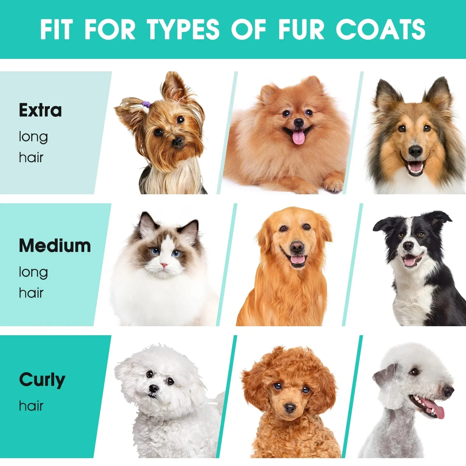 5 in 1 Pet Grooming Kit & Vacuum - Image 9