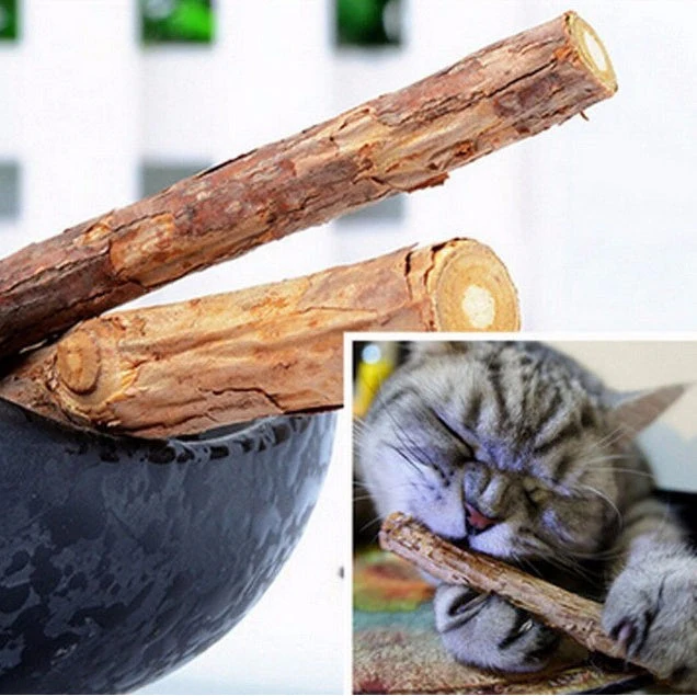 5 PCSMatatabi Toys  Catnip  Chew Toy for Pet Kitten - Image 2