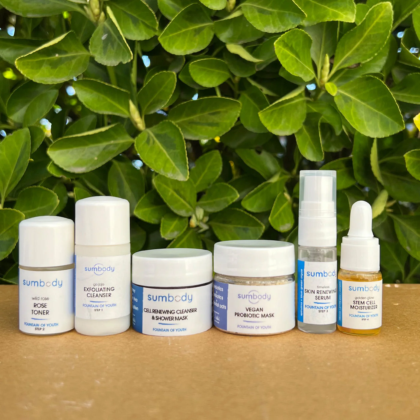 5 Steps to Perfect Skin Fountain of Youth Mini Kit - Image 2