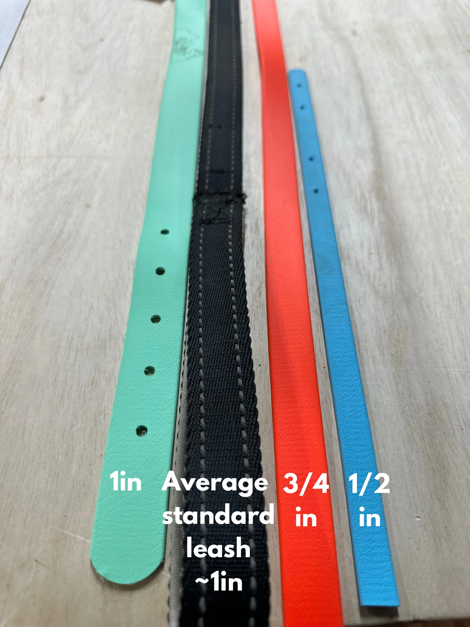 50ft Biothane Long Line - Image 2